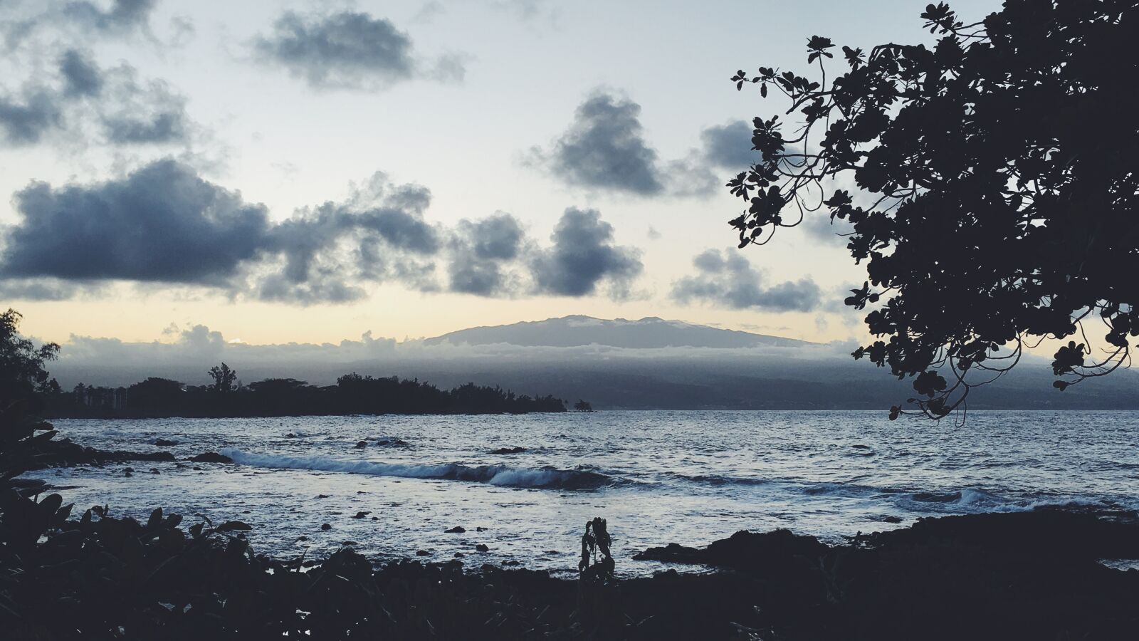 Apple iPhone 6s Plus sample photo. Beach, hawaii, tropical photography