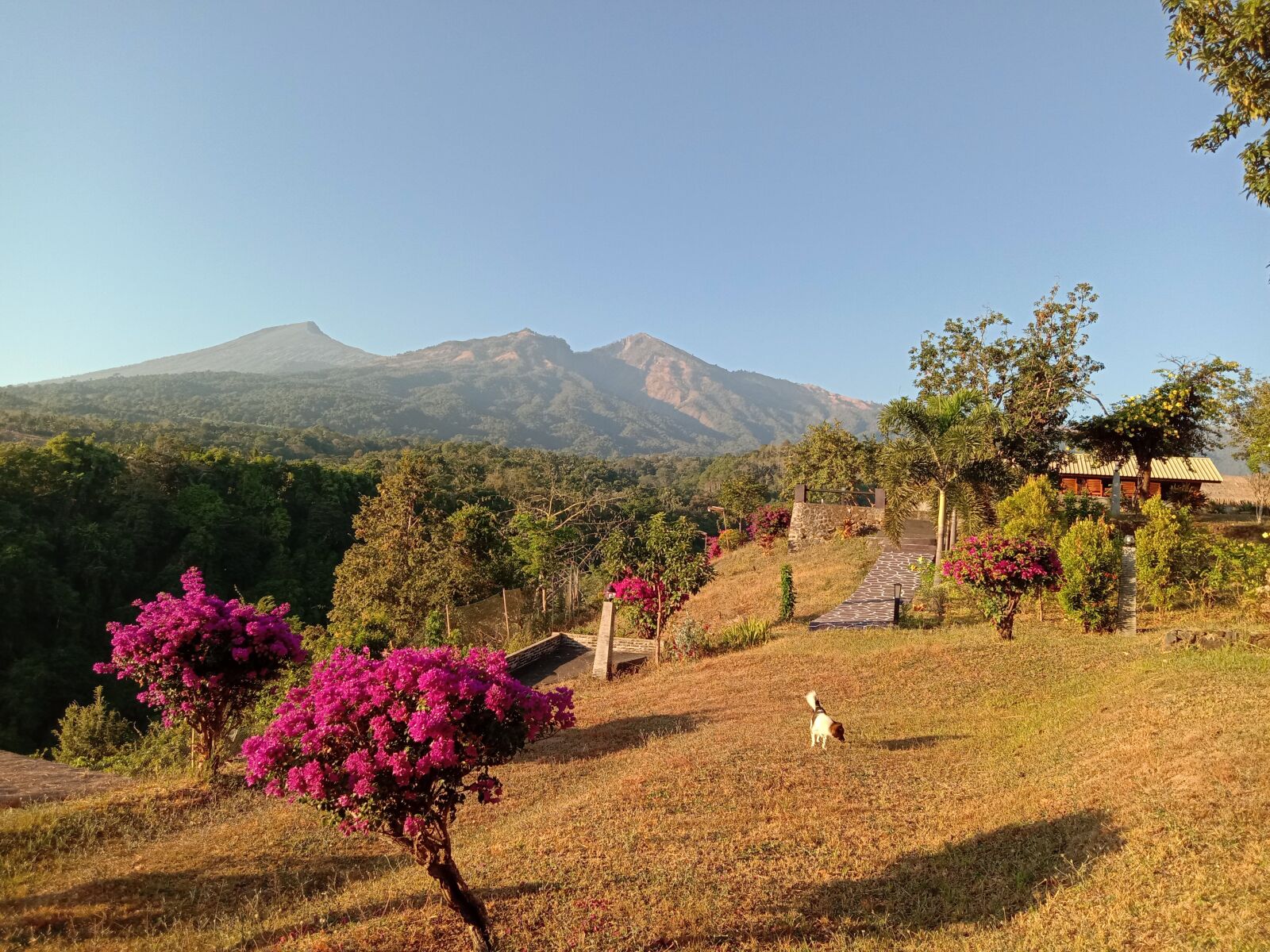 vivo 1902 sample photo. Lombok, utara, rinjani photography