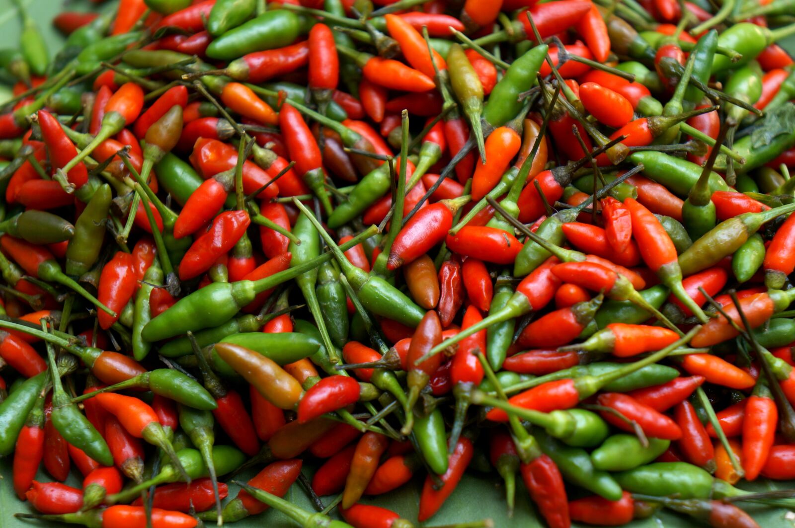 Sony Alpha NEX-F3 + Sony E 18-55mm F3.5-5.6 OSS sample photo. Spices, red pepper, green photography