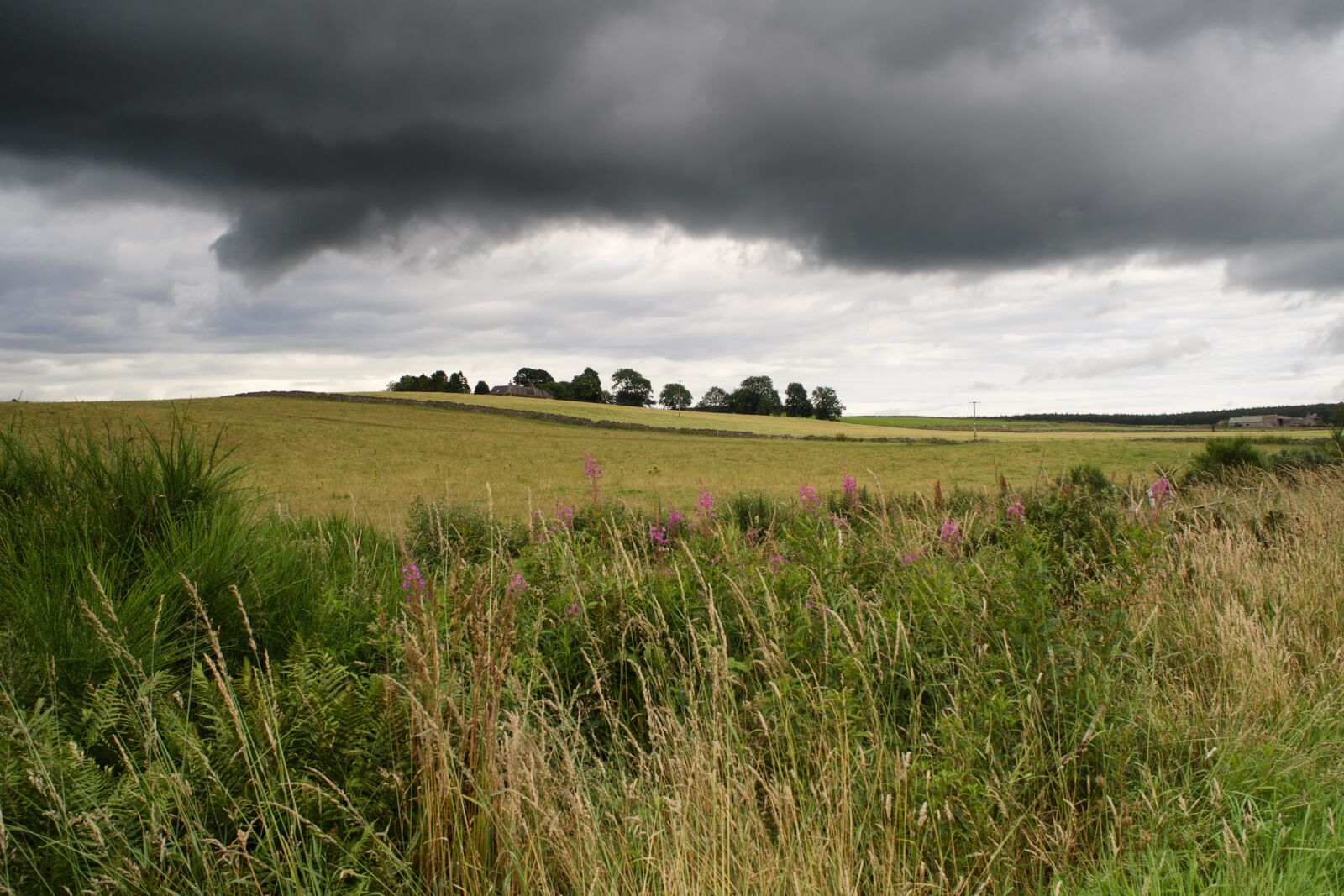 Olympus OM-D E-M10 sample photo. Highlands and islands, scotland photography