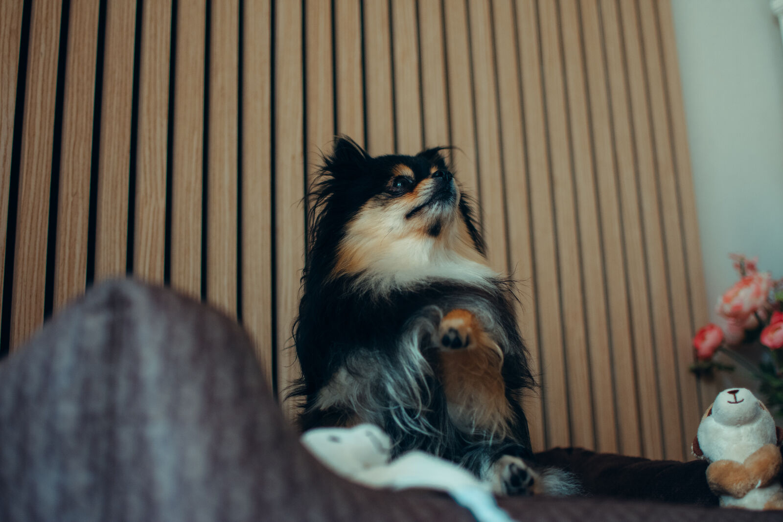 Nikon D3400 + Nikon AF-S DX Nikkor 35mm F1.8G sample photo