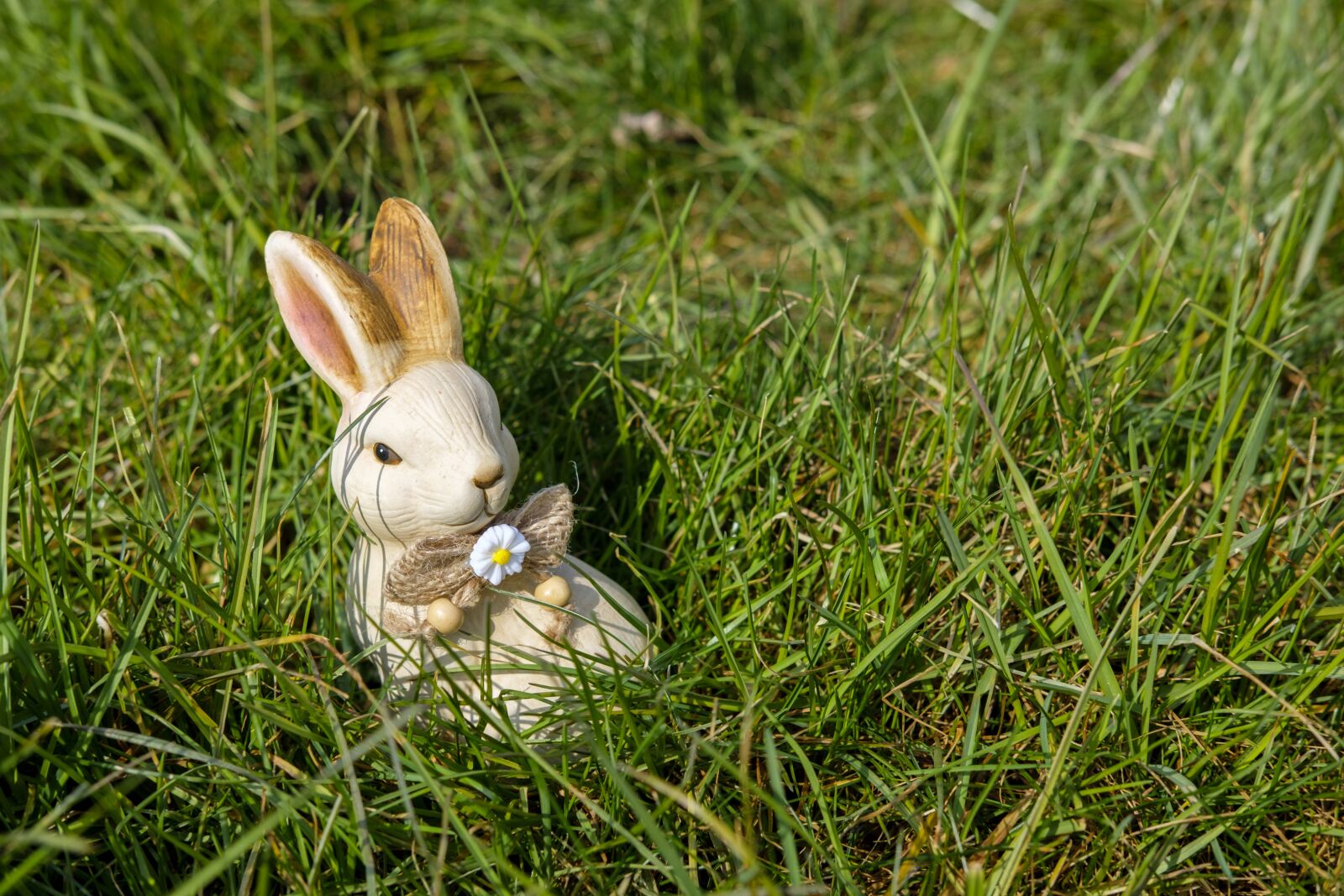 Fujifilm X-T2 + Fujifilm XF 35mm F2 R WR sample photo. Hare, easter bunny, easter photography