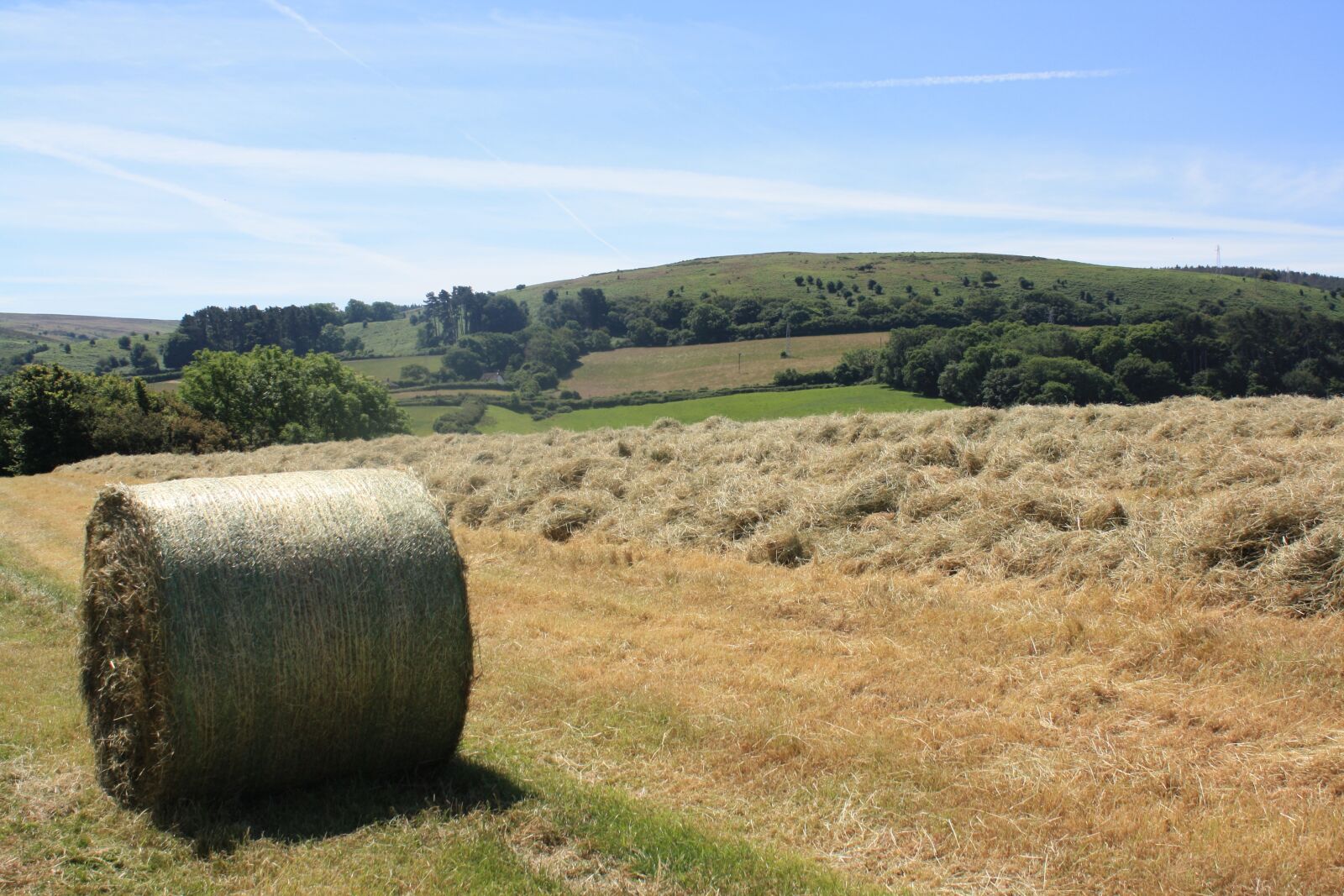 Canon EOS 1000D (EOS Digital Rebel XS / EOS Kiss F) sample photo. Hay bale, somerset, rural photography