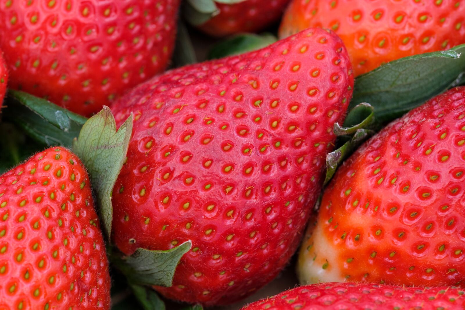 Fujifilm X-T2 + Fujifilm XF 80mm F2.8 R LM OIS WR Macro sample photo. Strawberries, fruits, fruit photography