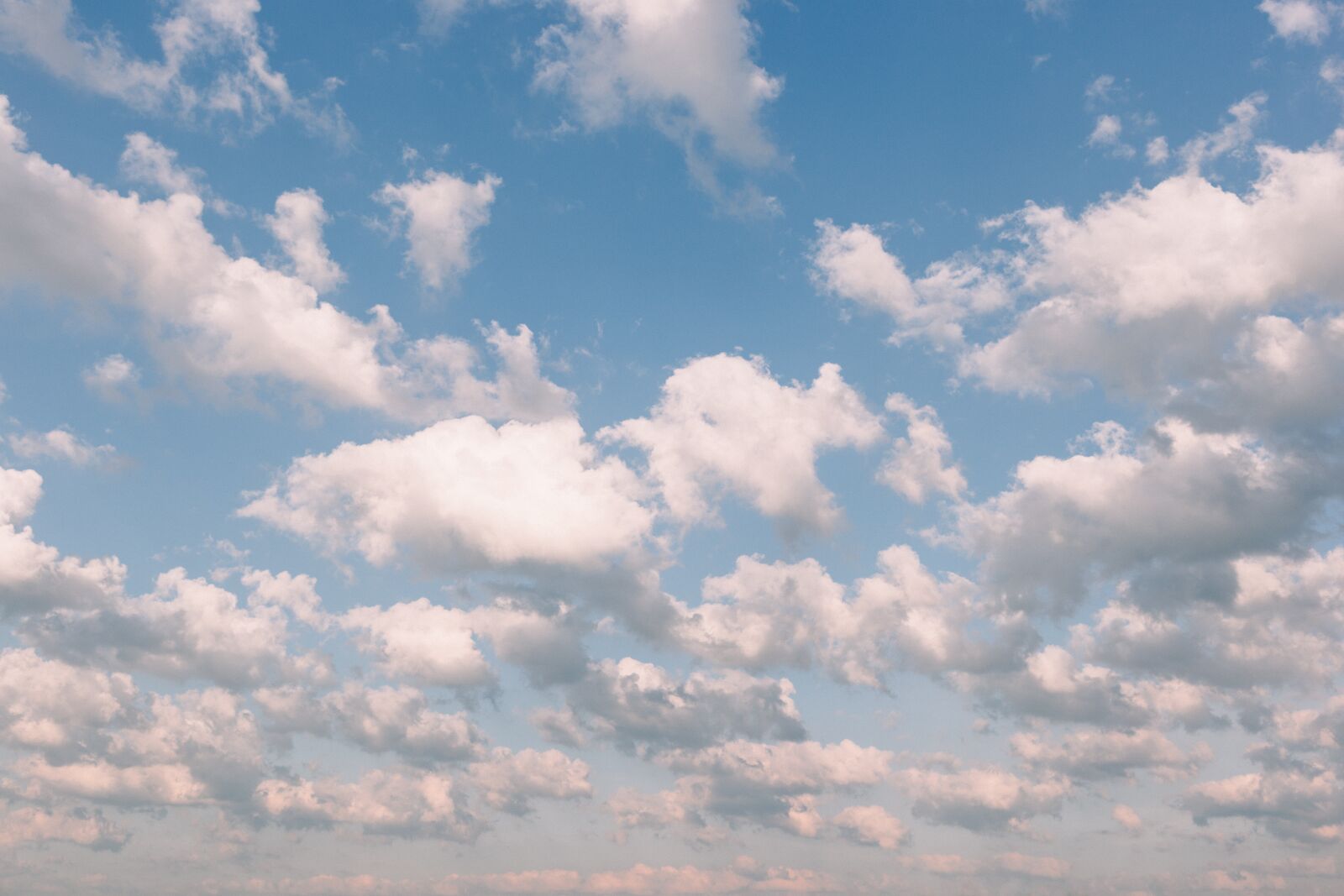 Canon EF 40mm F2.8 STM sample photo. Nature, background, blue photography