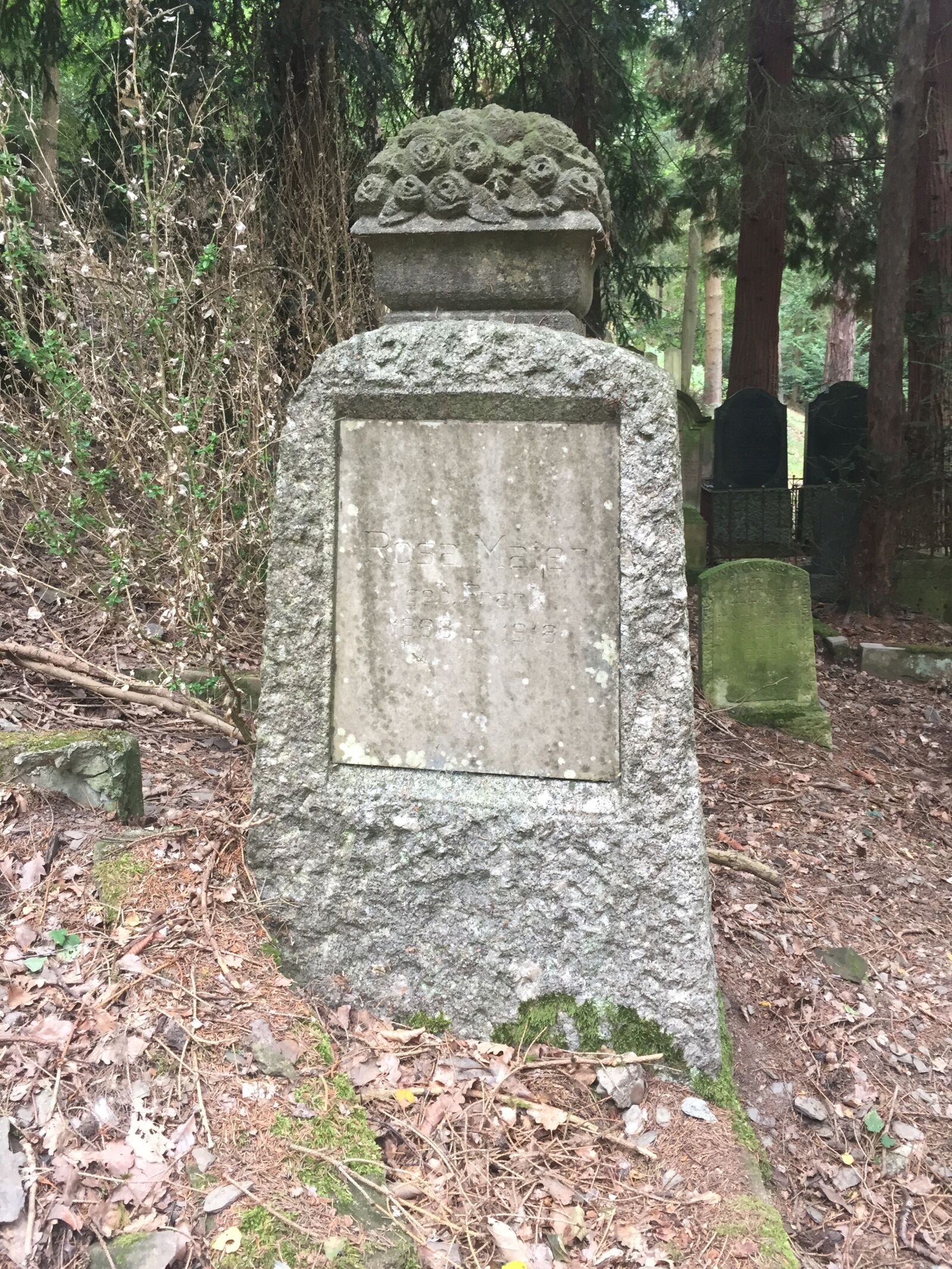 iPhone 6 back camera 4.15mm f/2.2 sample photo. Cemetery, grave, tombstone photography