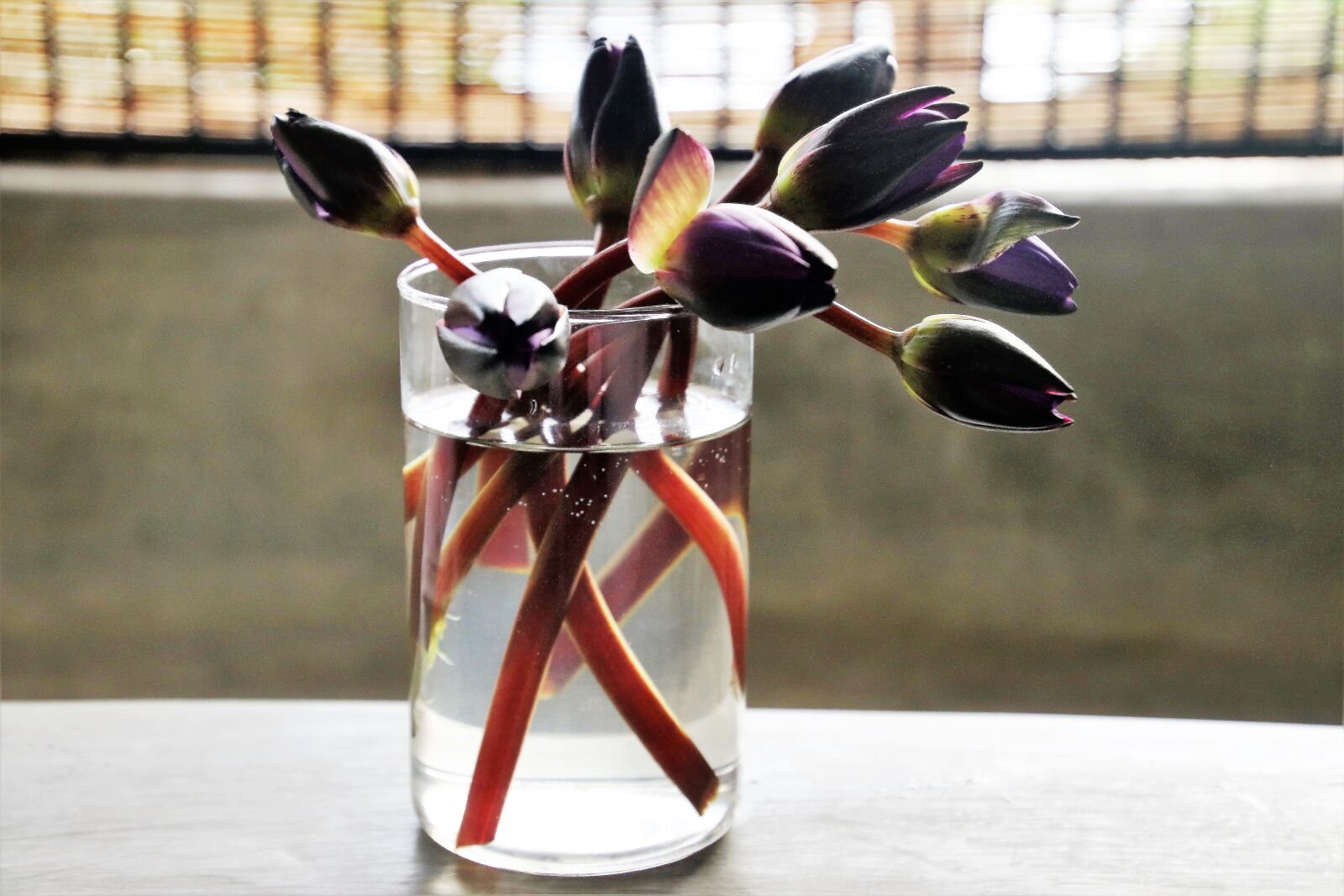Canon EOS 80D sample photo. Cup, water, flowers photography