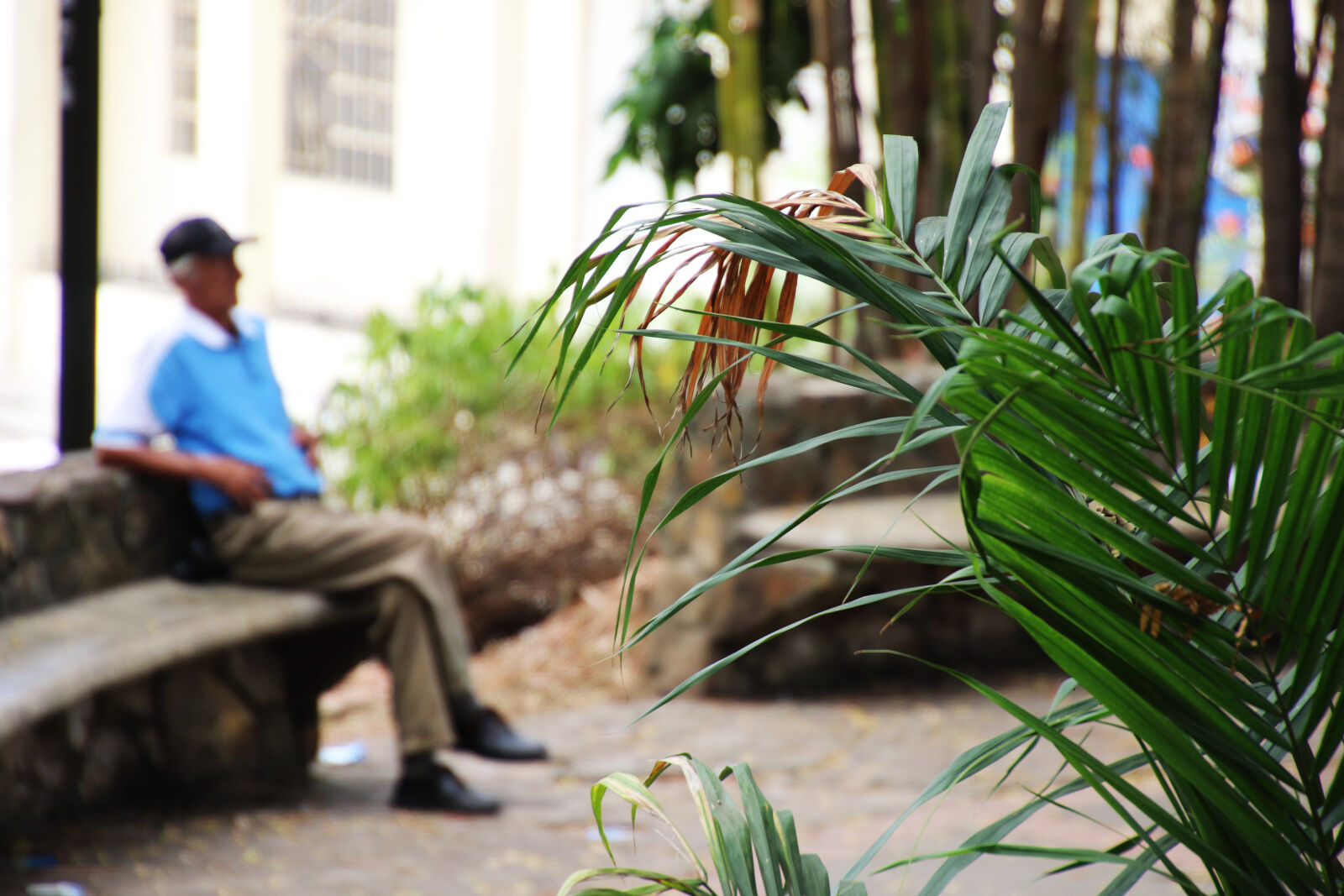 Canon EOS 7D Mark II sample photo. Bench, blue, dream, garden photography