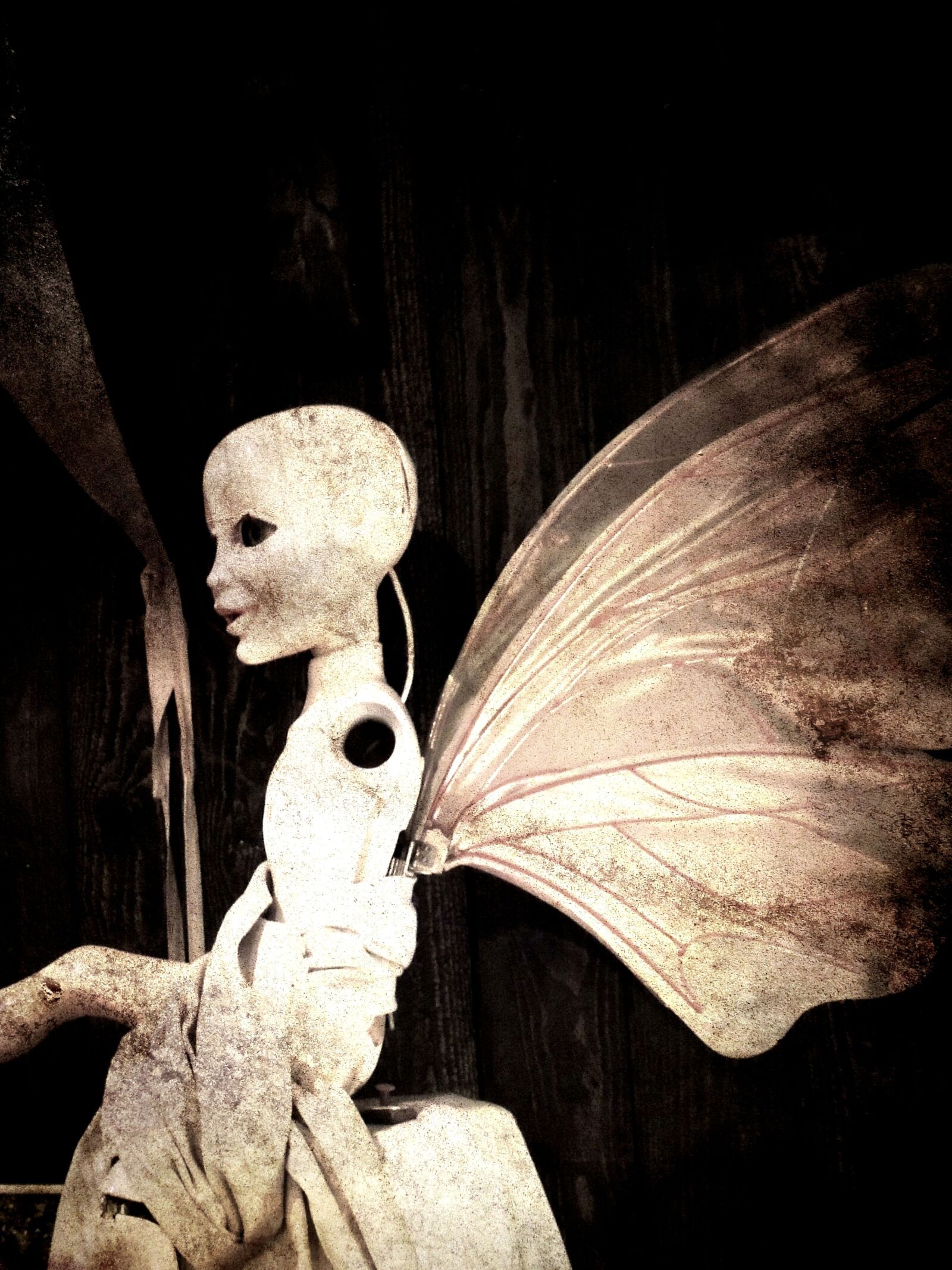 Nikon Coolpix P510 sample photo. Efteling, wings, surreal photography