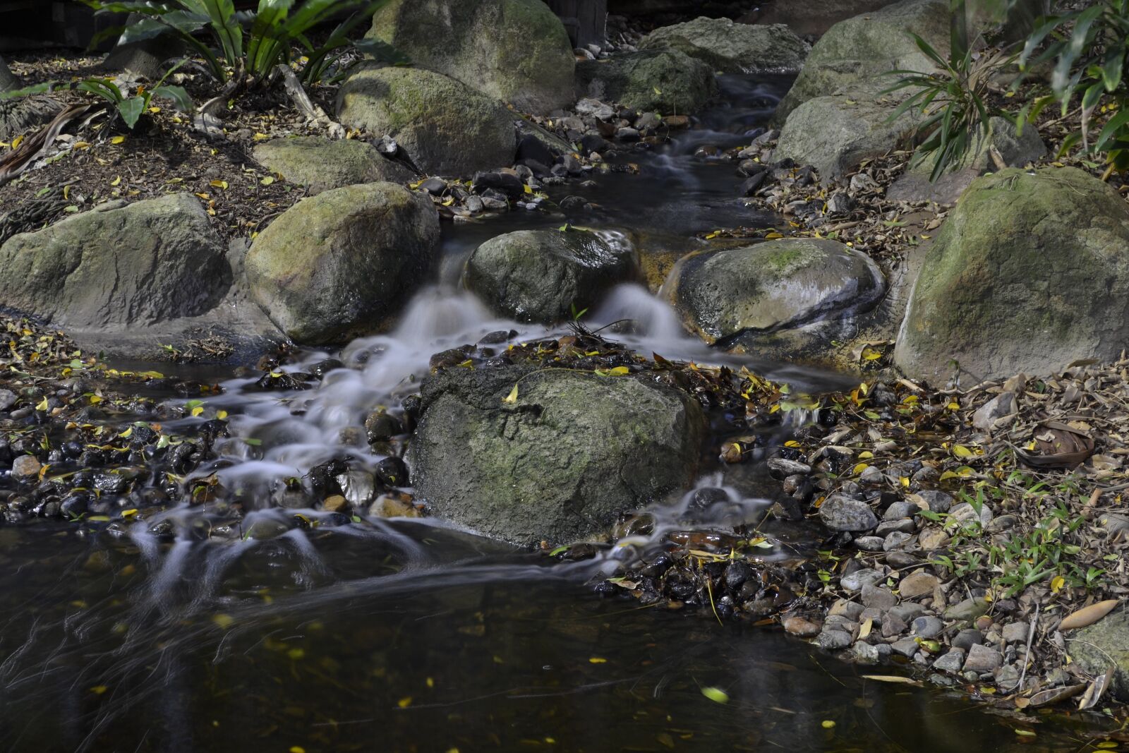 Nikon D3100 sample photo. Water, nature, motion photography