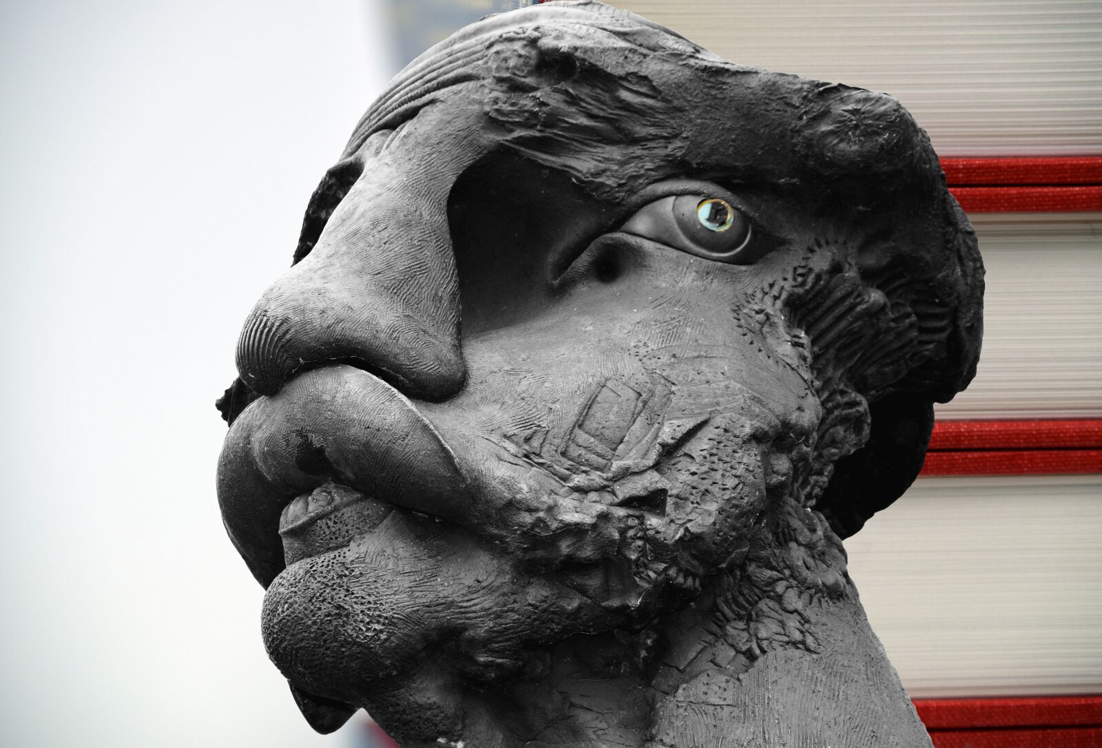 Nikon D3300 sample photo. Head, statue, figure photography