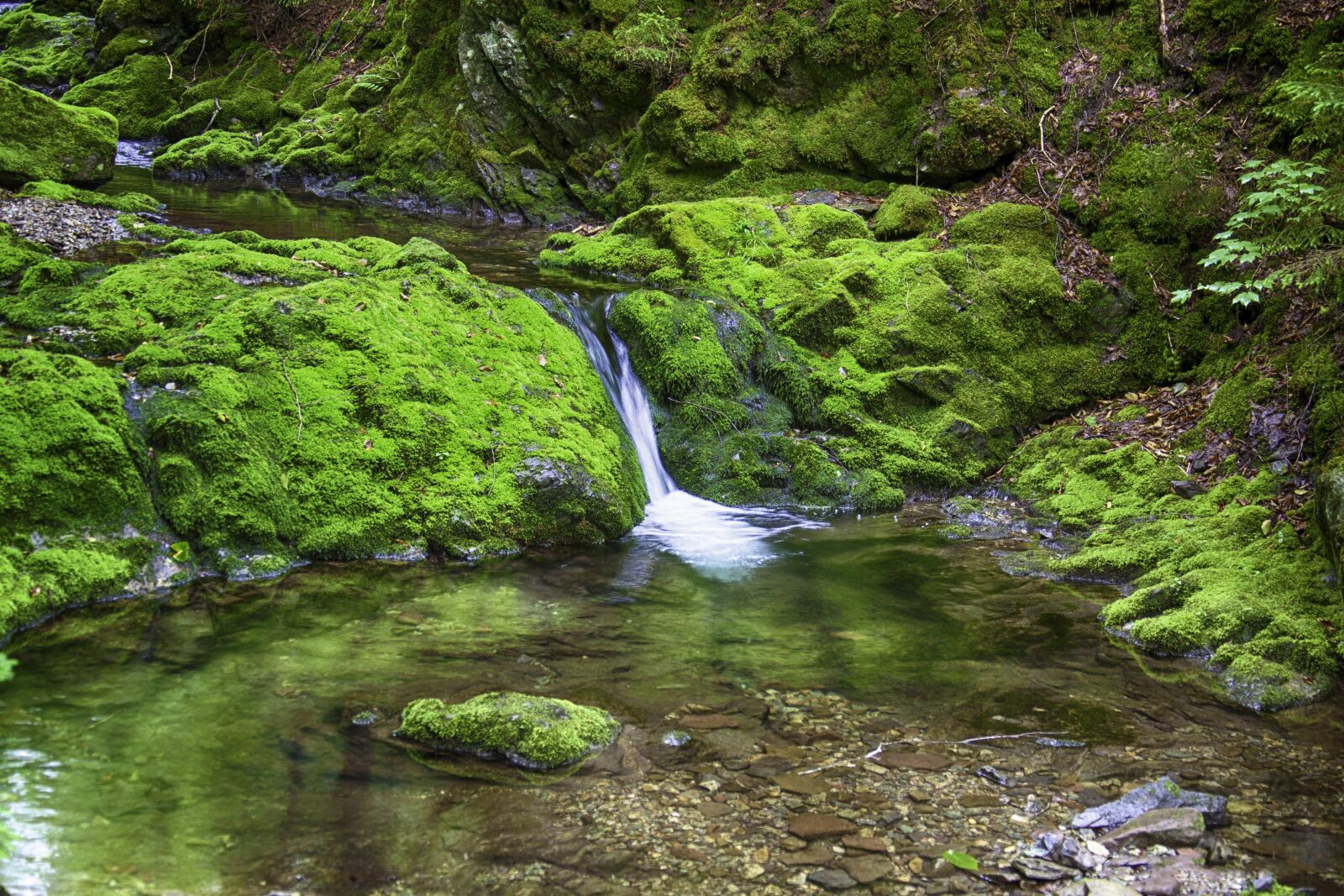 Canon EOS 5D Mark II + Canon EF 28-300mm F3.5-5.6L IS USM sample photo. Nature, water, stream photography