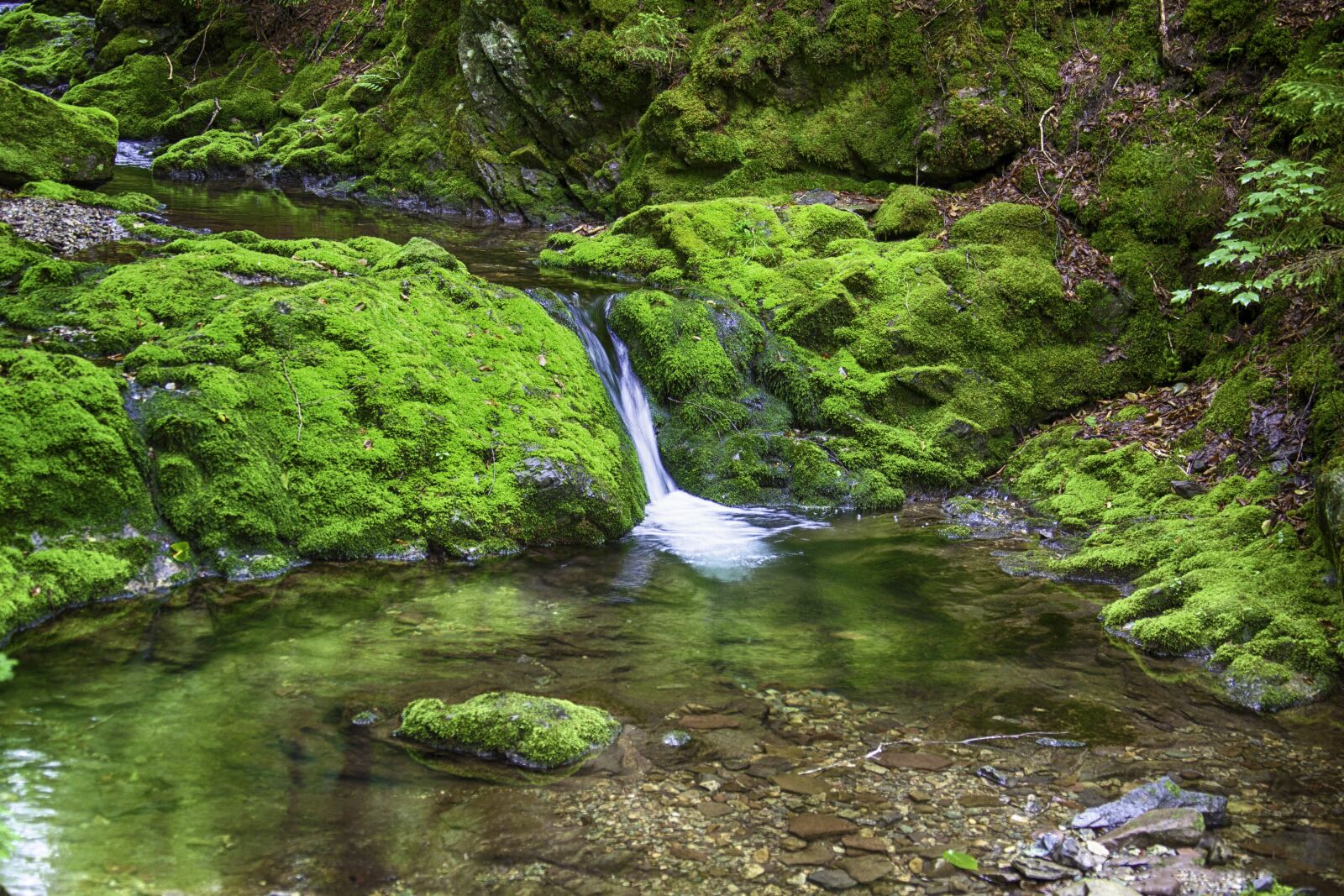 Canon EOS 5D Mark II sample photo. Nature, water, stream photography