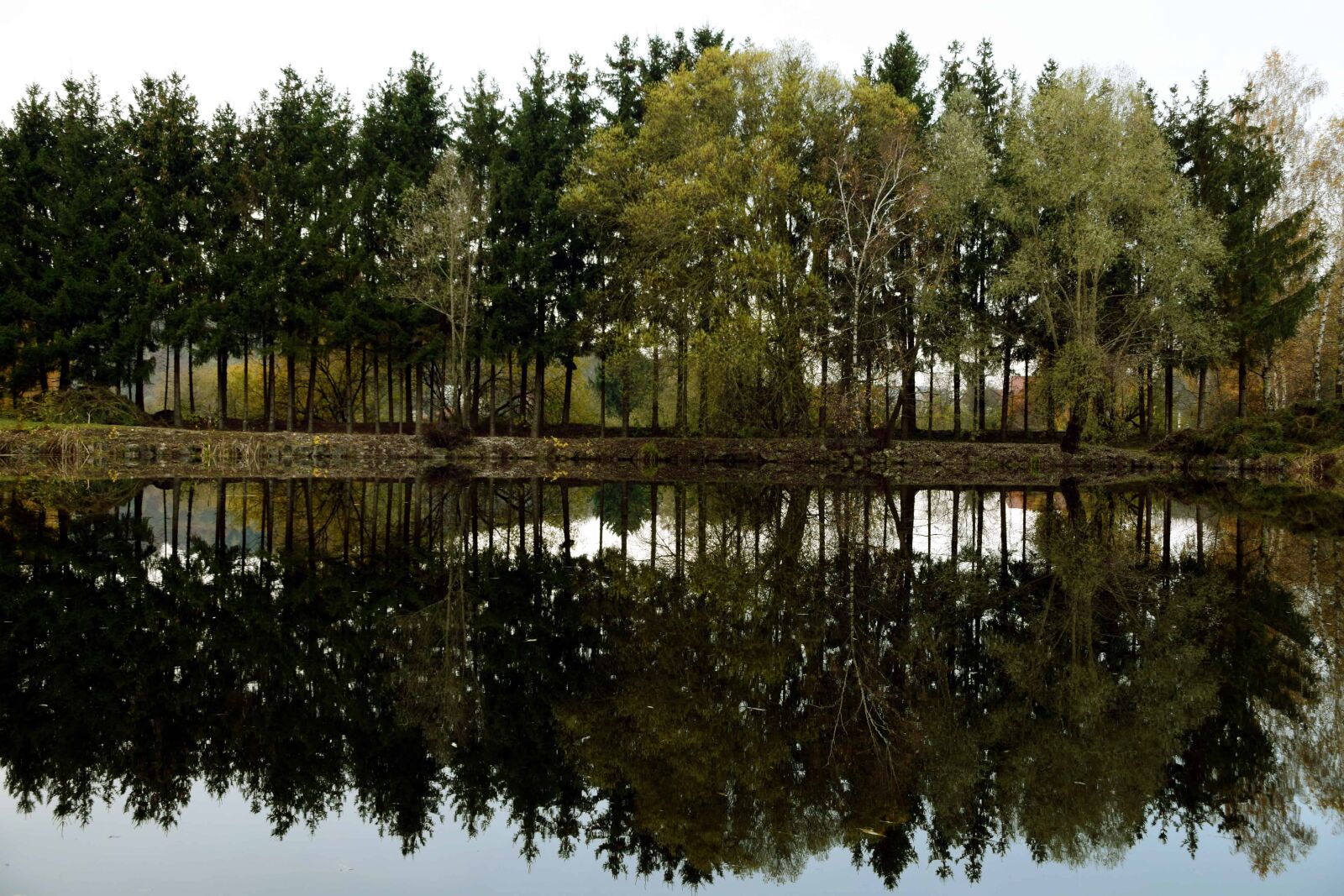 Nikon D3300 sample photo. Landscape, reflection, tree, lake photography