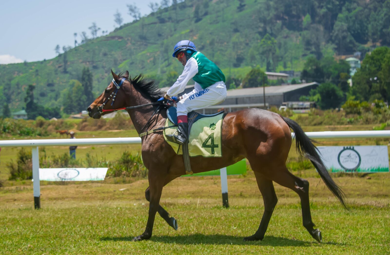 Nikon D3S sample photo. Finish line, race, horse photography