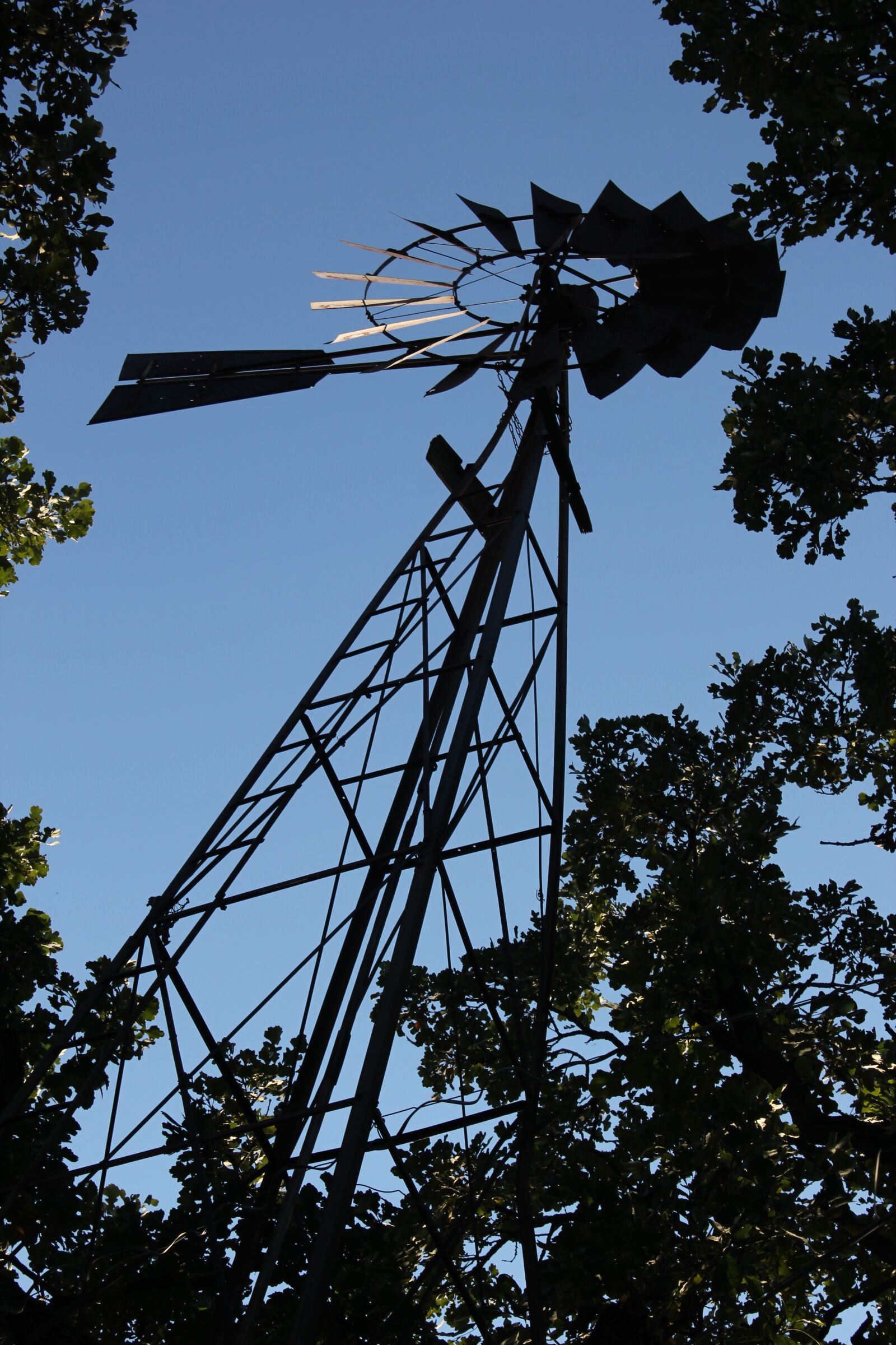 Canon EOS 550D (EOS Rebel T2i / EOS Kiss X4) sample photo. Windmill, abandoned, old photography