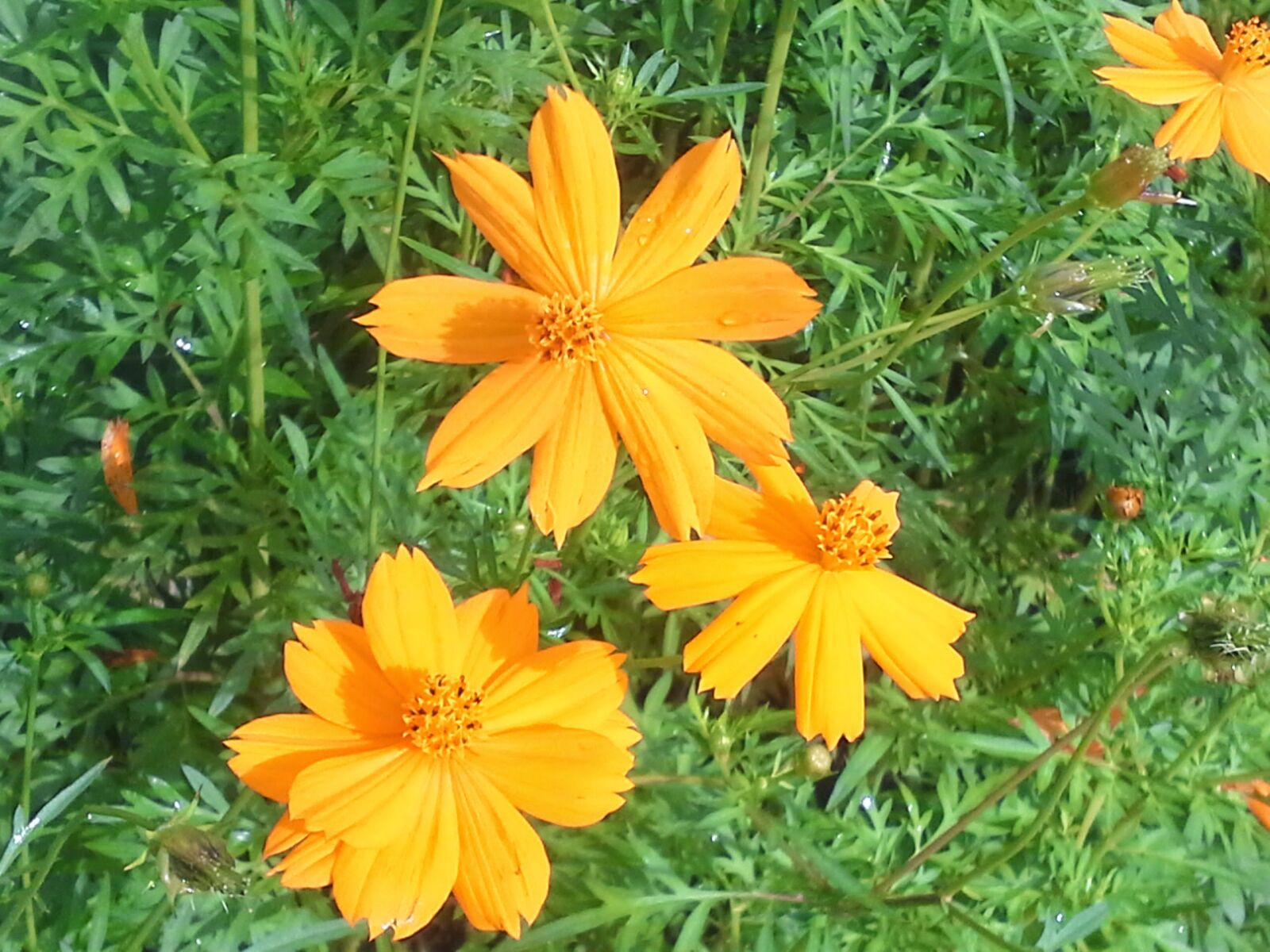 Samsung Galaxy Note 10.1 sample photo