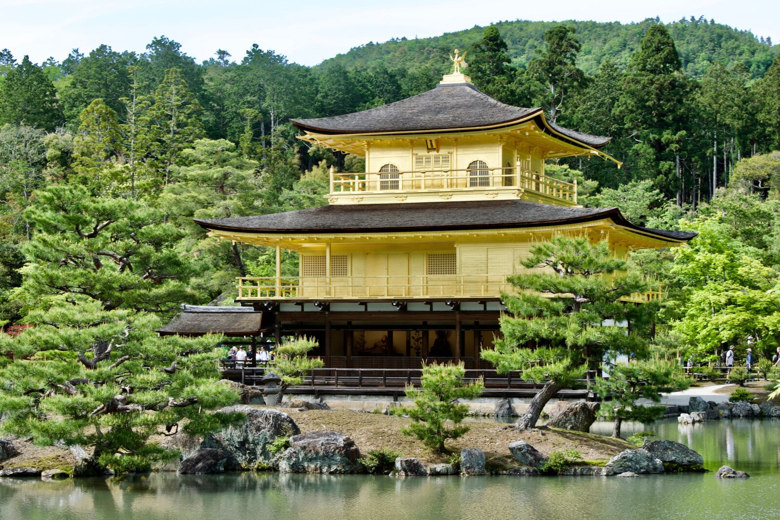 Nikon D5300 sample photo. Japan, temple, gold photography
