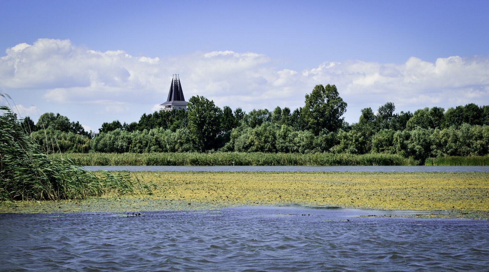 Nikon D3200 sample photo. Tisza-lake, poroszló, summer photography