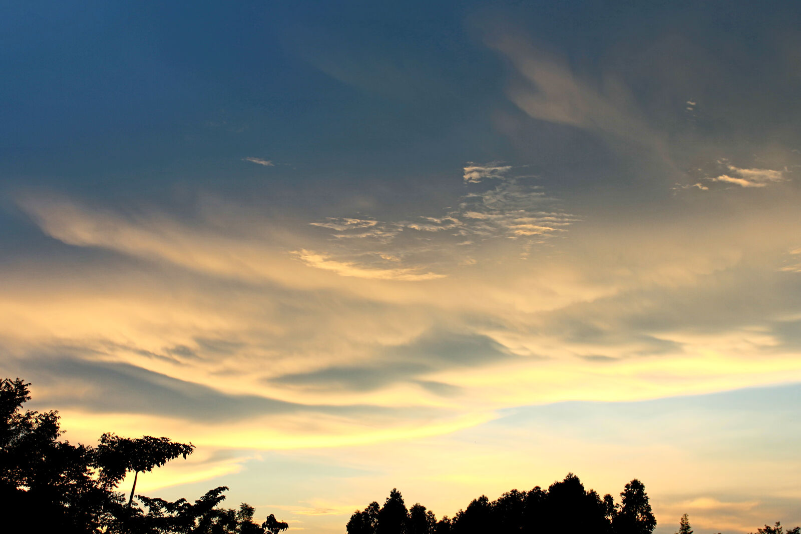 Canon EOS 650D (EOS Rebel T4i / EOS Kiss X6i) sample photo. Afterglow, backlit, beautiful, blue photography