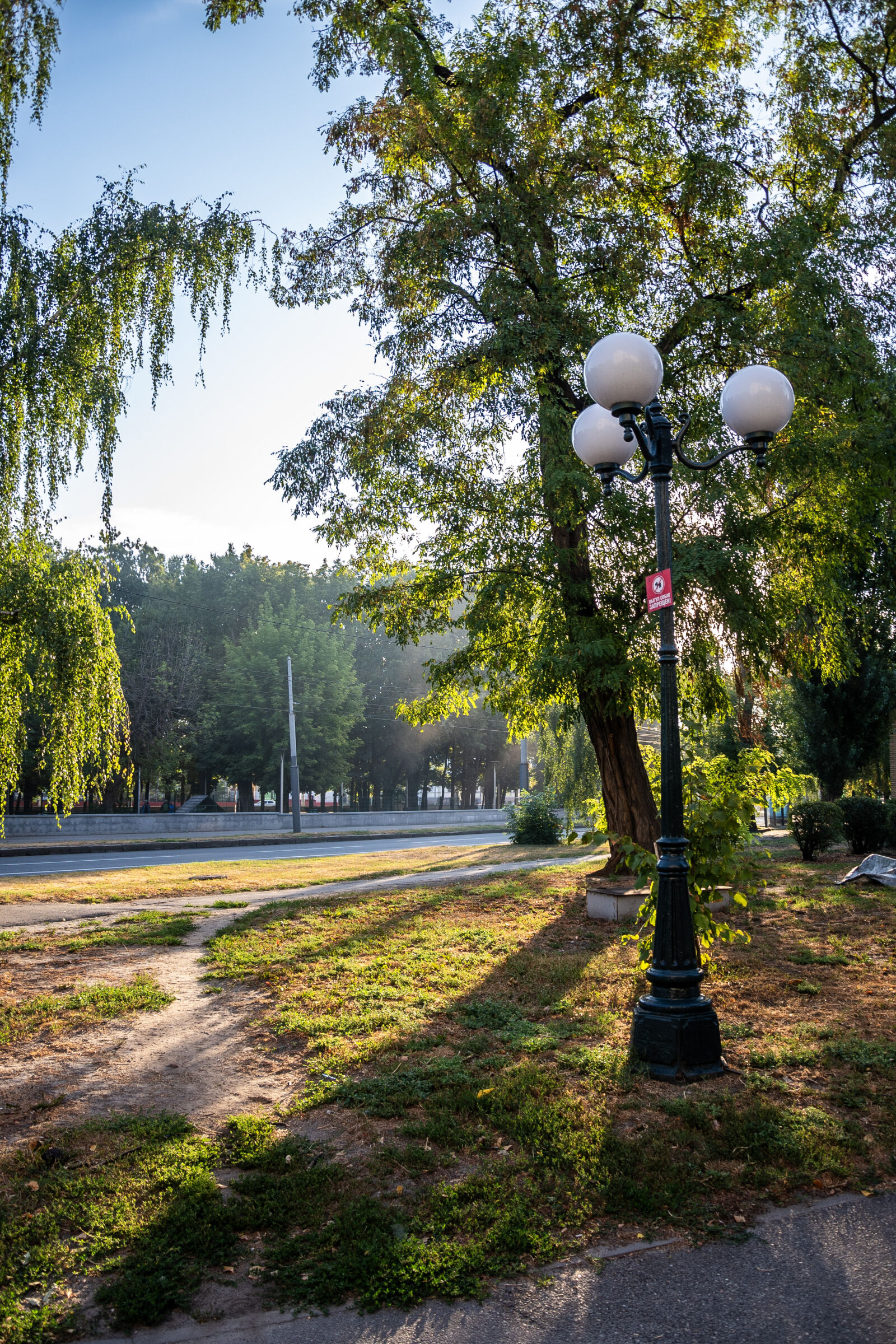 Nikon D750 sample photo