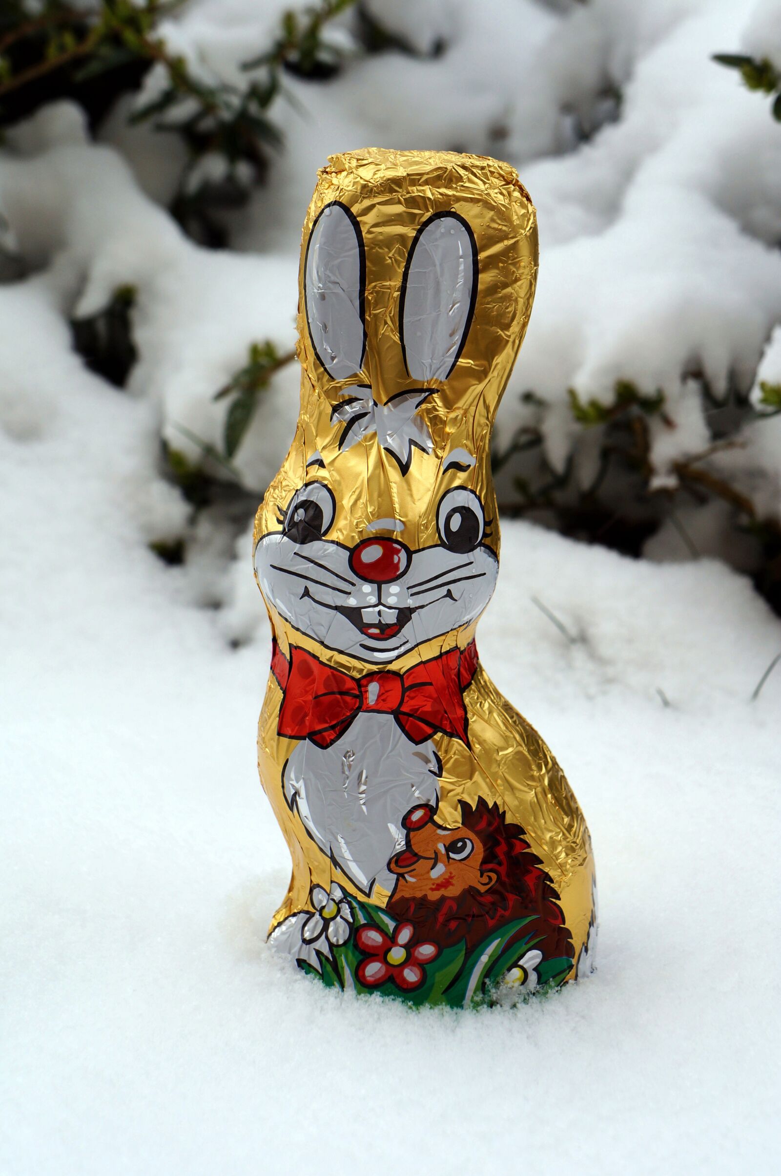 Sony Alpha NEX-F3 + Sony E 18-55mm F3.5-5.6 OSS sample photo. Easter, easter bunny, schneehase photography