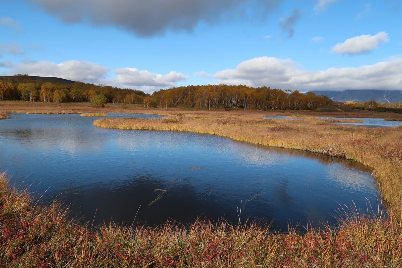 Canon PowerShot G7 X Mark II sample photo. Autumn, lake, forest photography