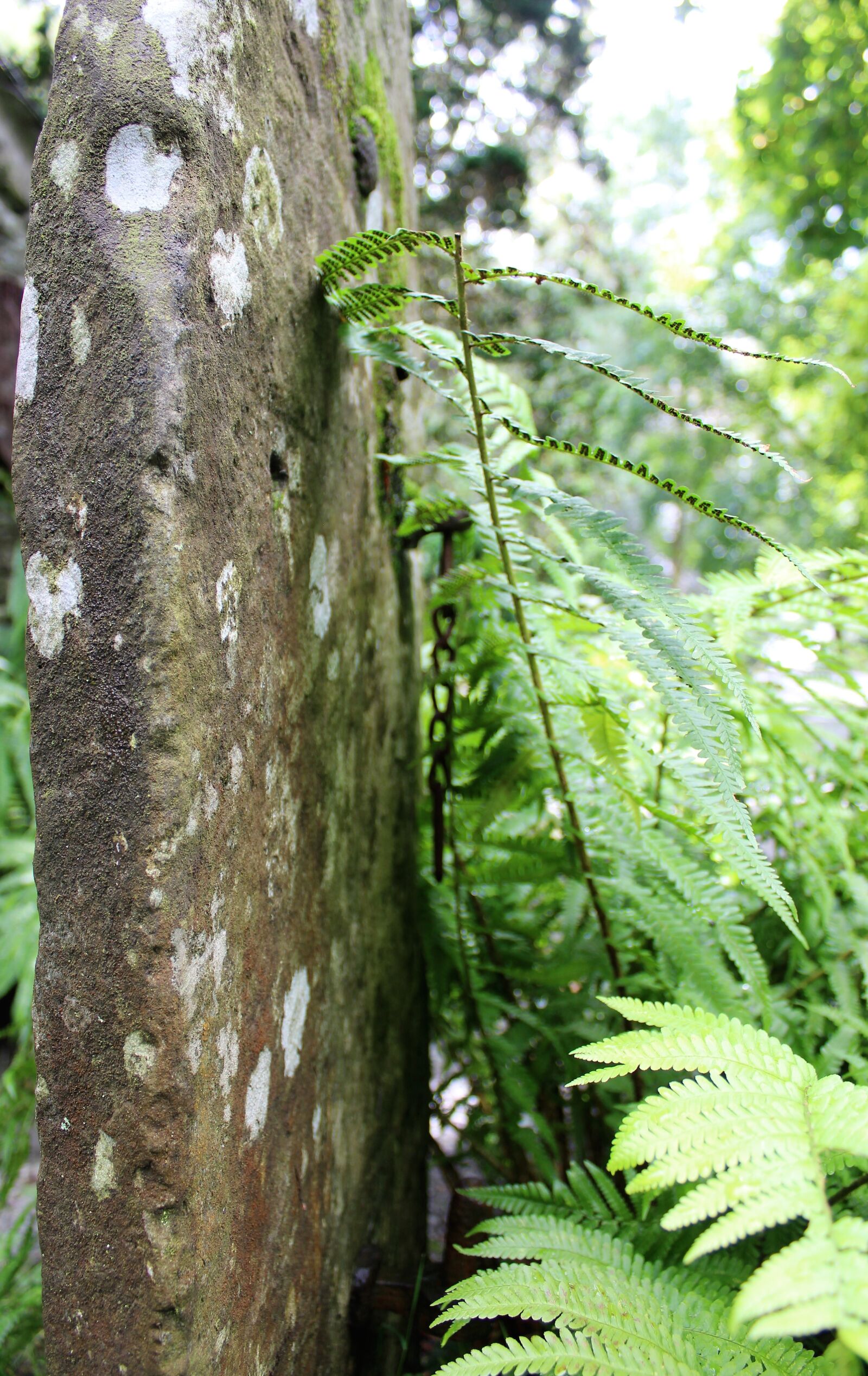Canon EOS 1300D (EOS Rebel T6 / EOS Kiss X80) sample photo. Gate post, stone, lakeland photography