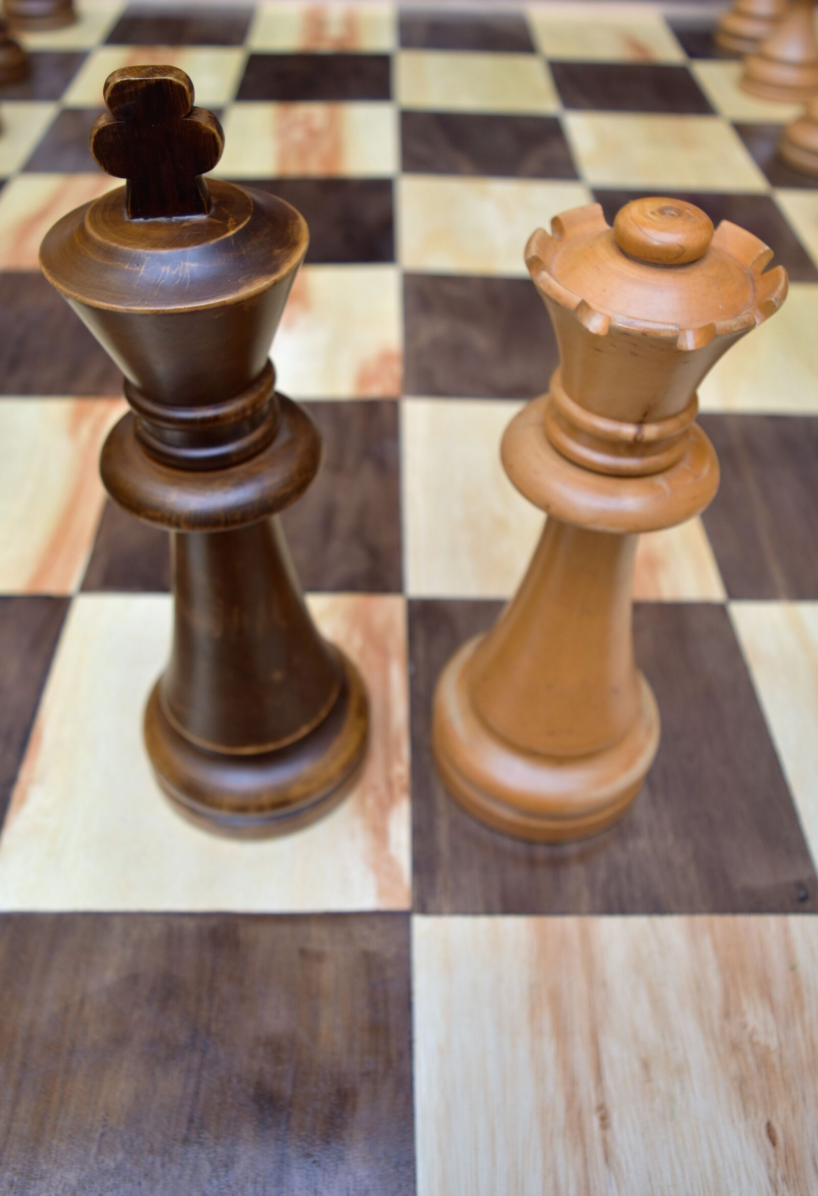 Nikon D5500 sample photo. Games, king, chess photography