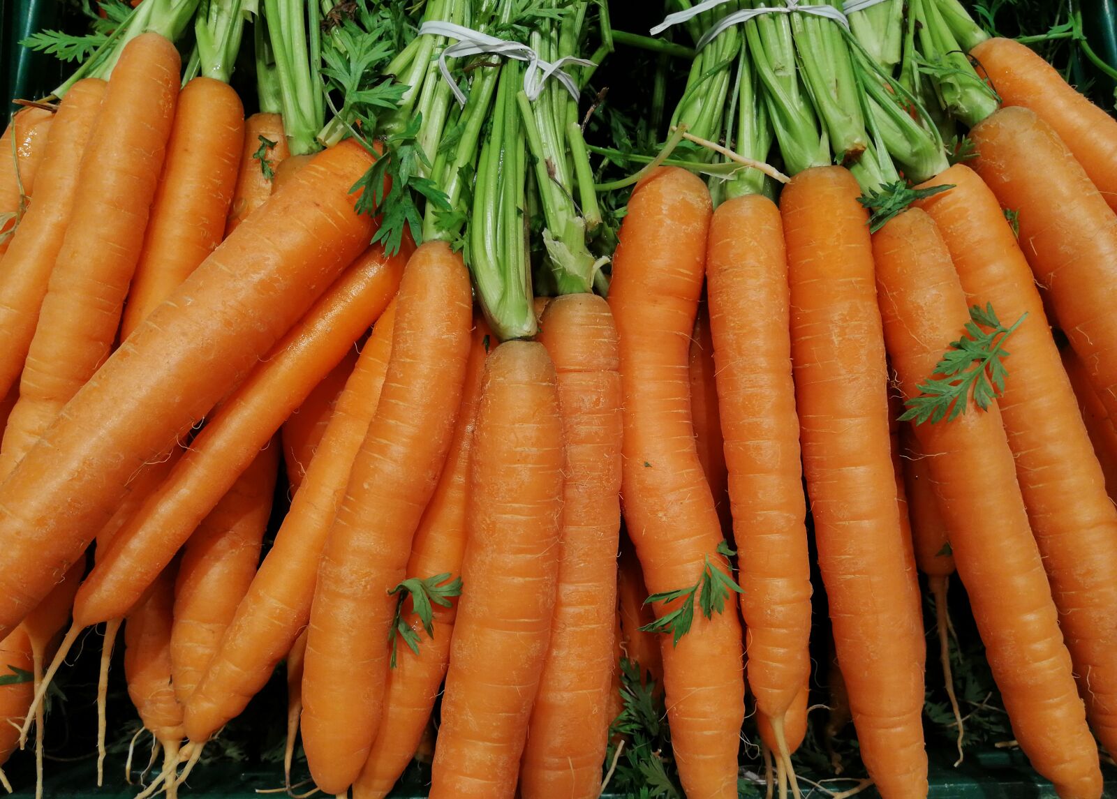 HUAWEI SNE-LX1 sample photo. Carrots, herb, vegetables photography