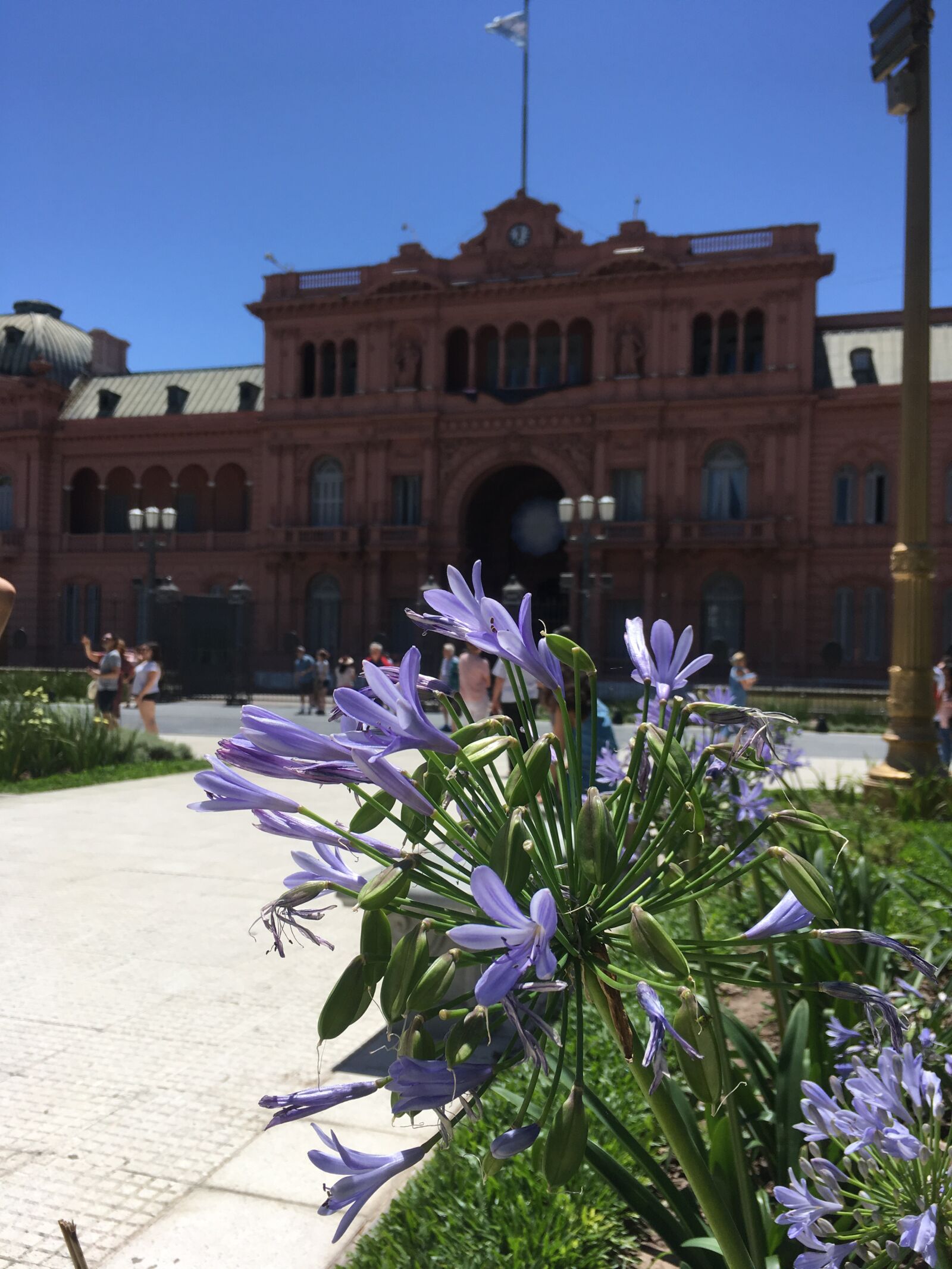 iPhone SE back camera 4.15mm f/2.2 sample photo. Argentina, aires, capital photography