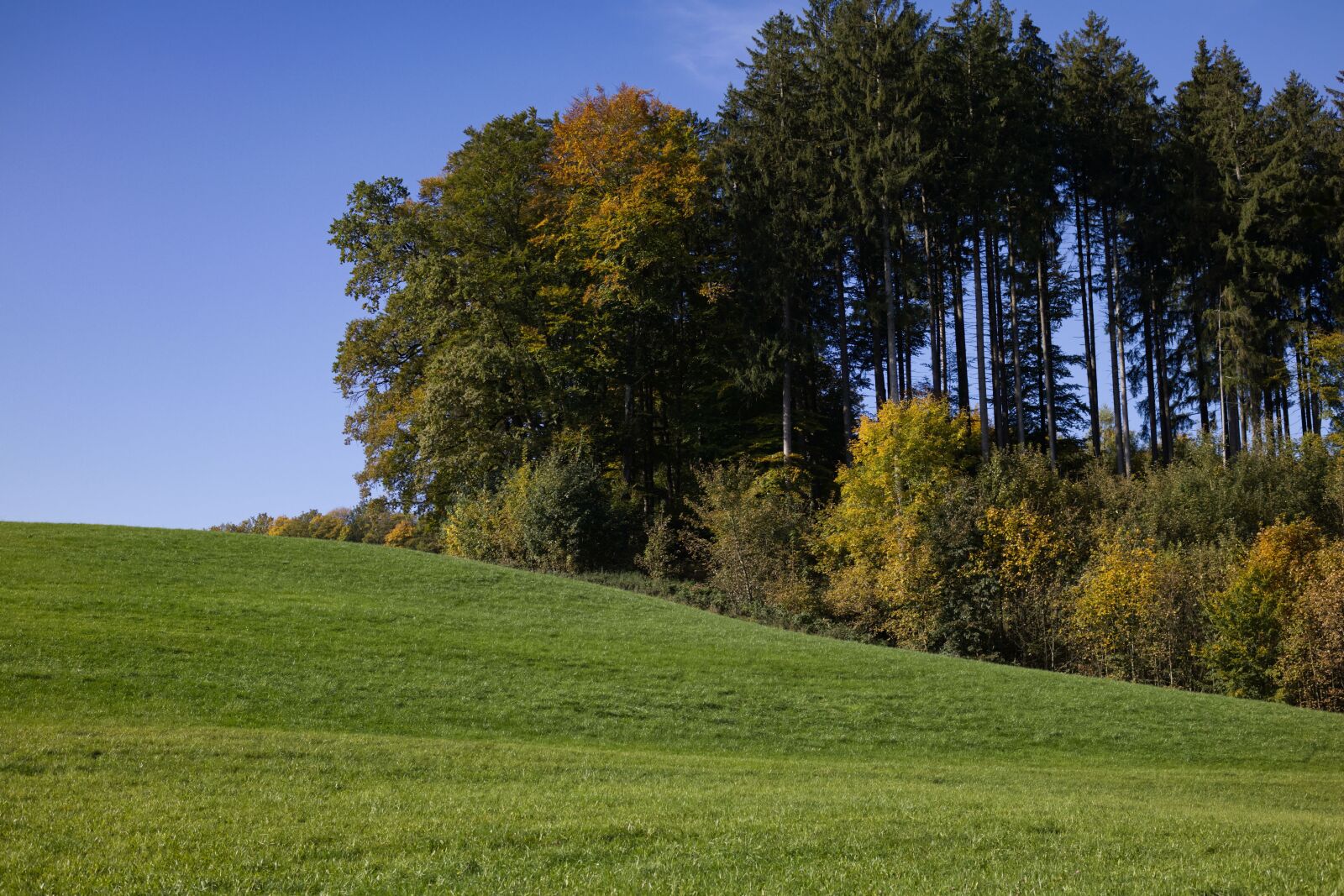 Canon EF-M 32mm F1.4 STM sample photo. Autumn mood, bavaria, nature photography