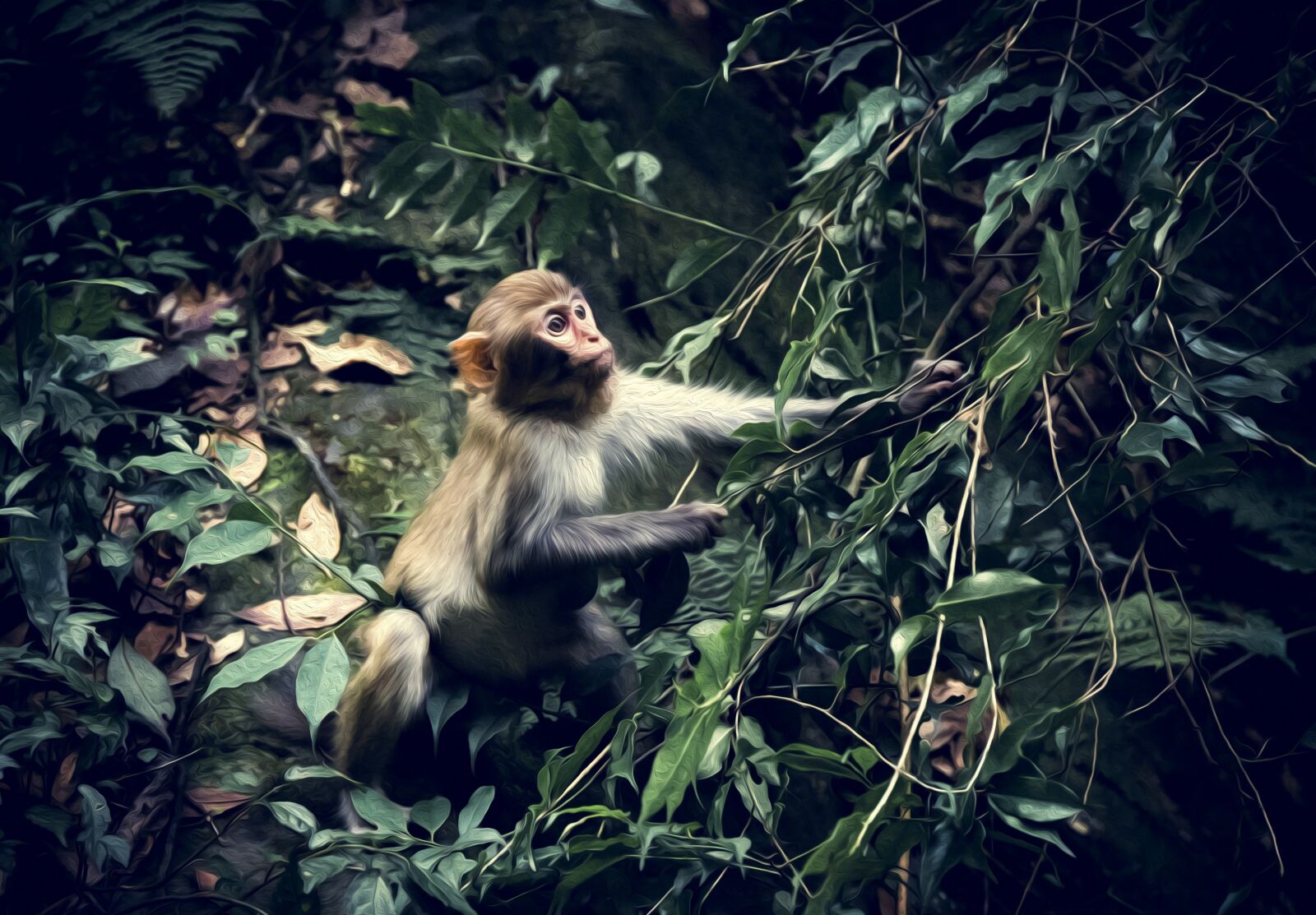 Canon EOS 6D Mark II sample photo. Animal, monkey, woods photography