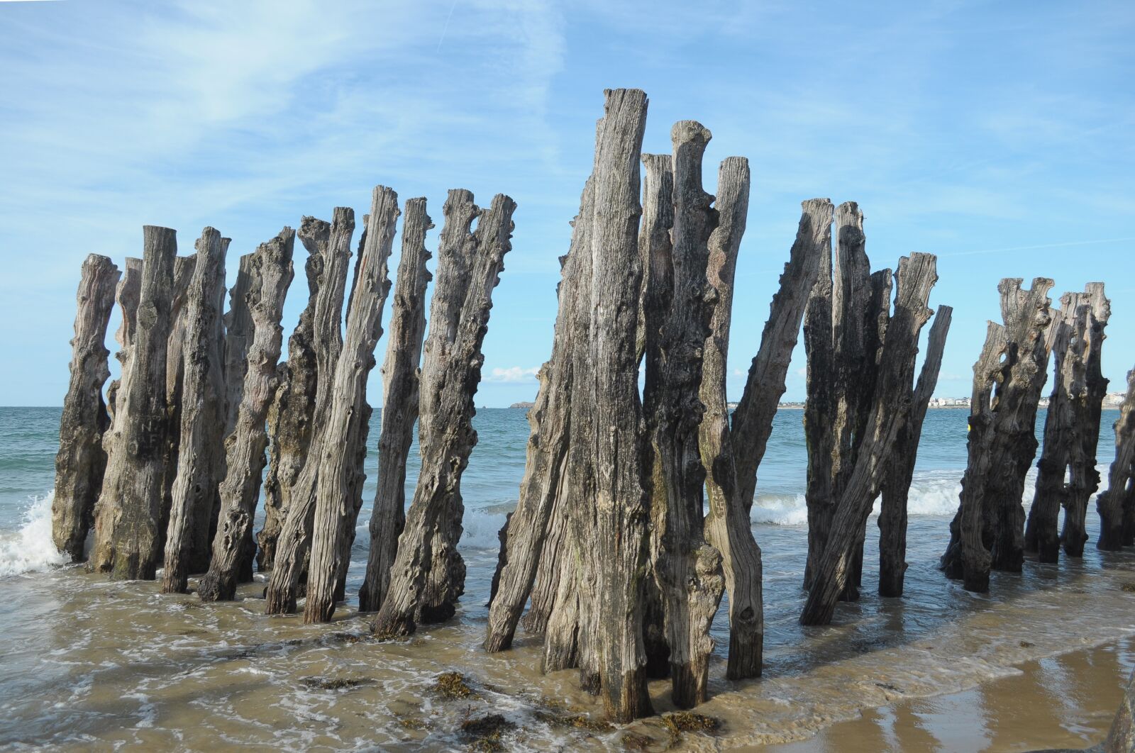 Nikon D90 sample photo. Sea, beach, coast photography