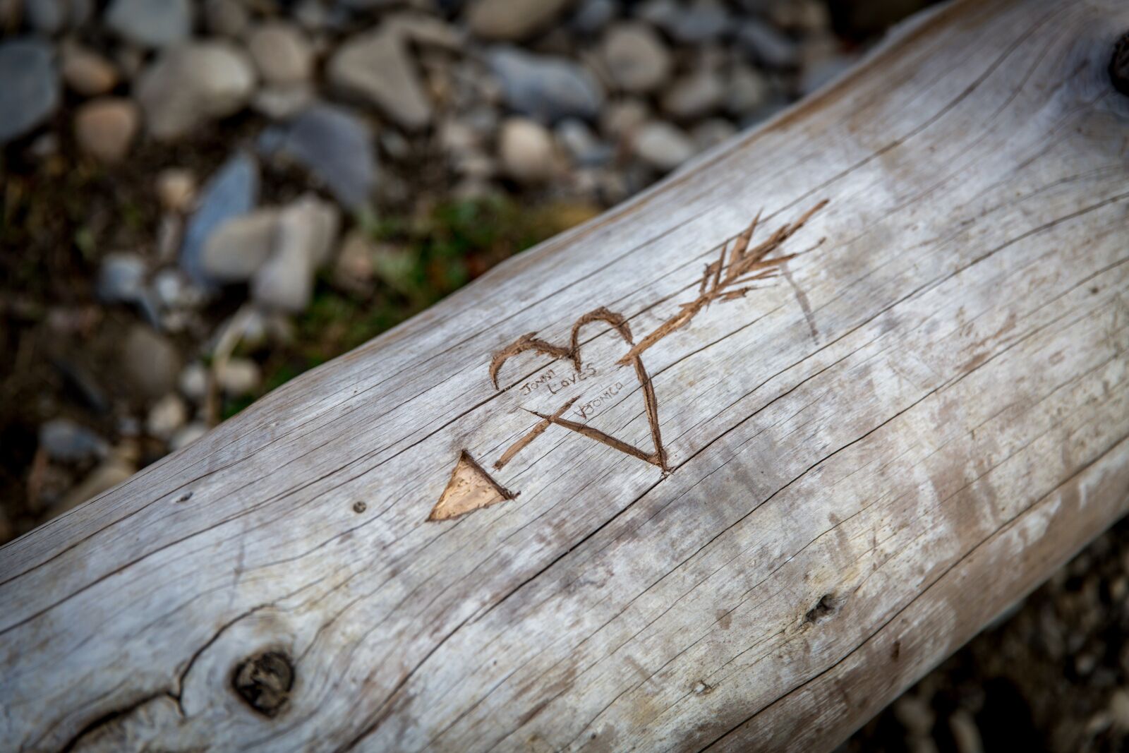 Canon EF 24-70mm F2.8L II USM sample photo. Lovers, romance, together photography