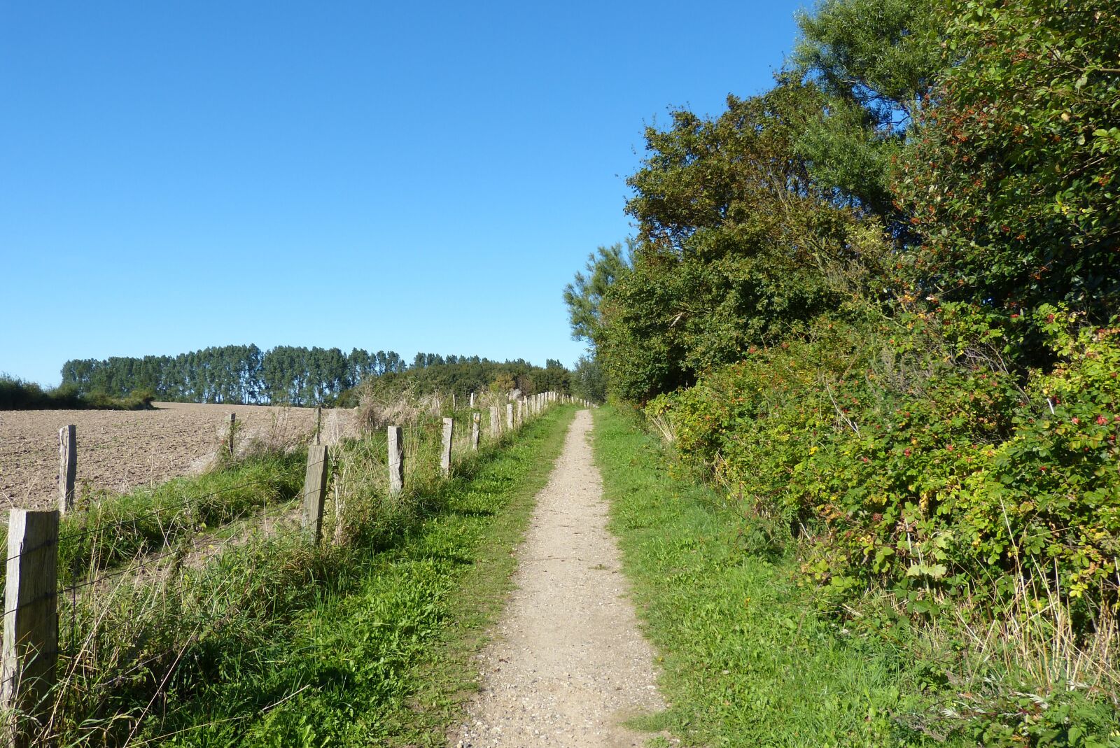Panasonic Lumix DMC-FZ150 sample photo. Away, mecklenburg, path photography