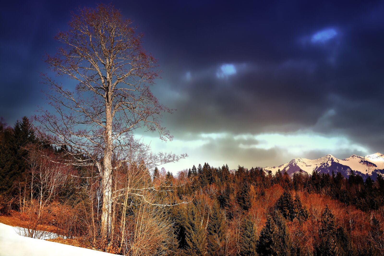 Nikon D7100 sample photo. Landscape, mountains, forest photography