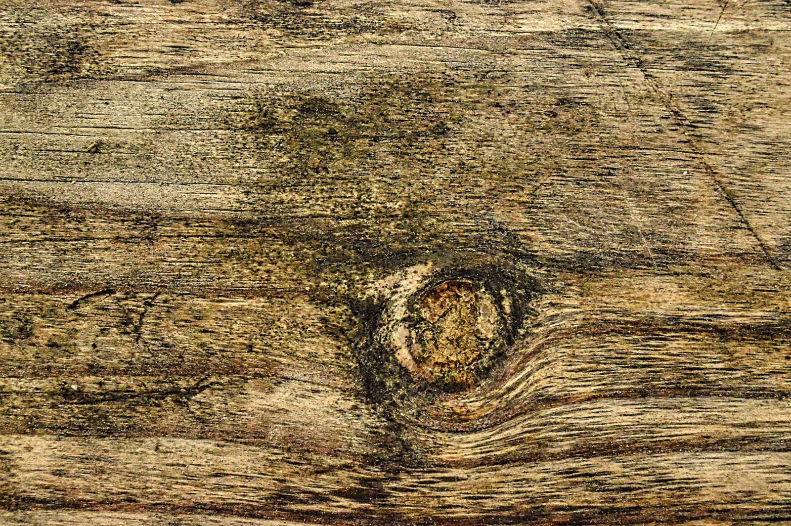Nikon D3200 sample photo. Texture, wood, surface photography