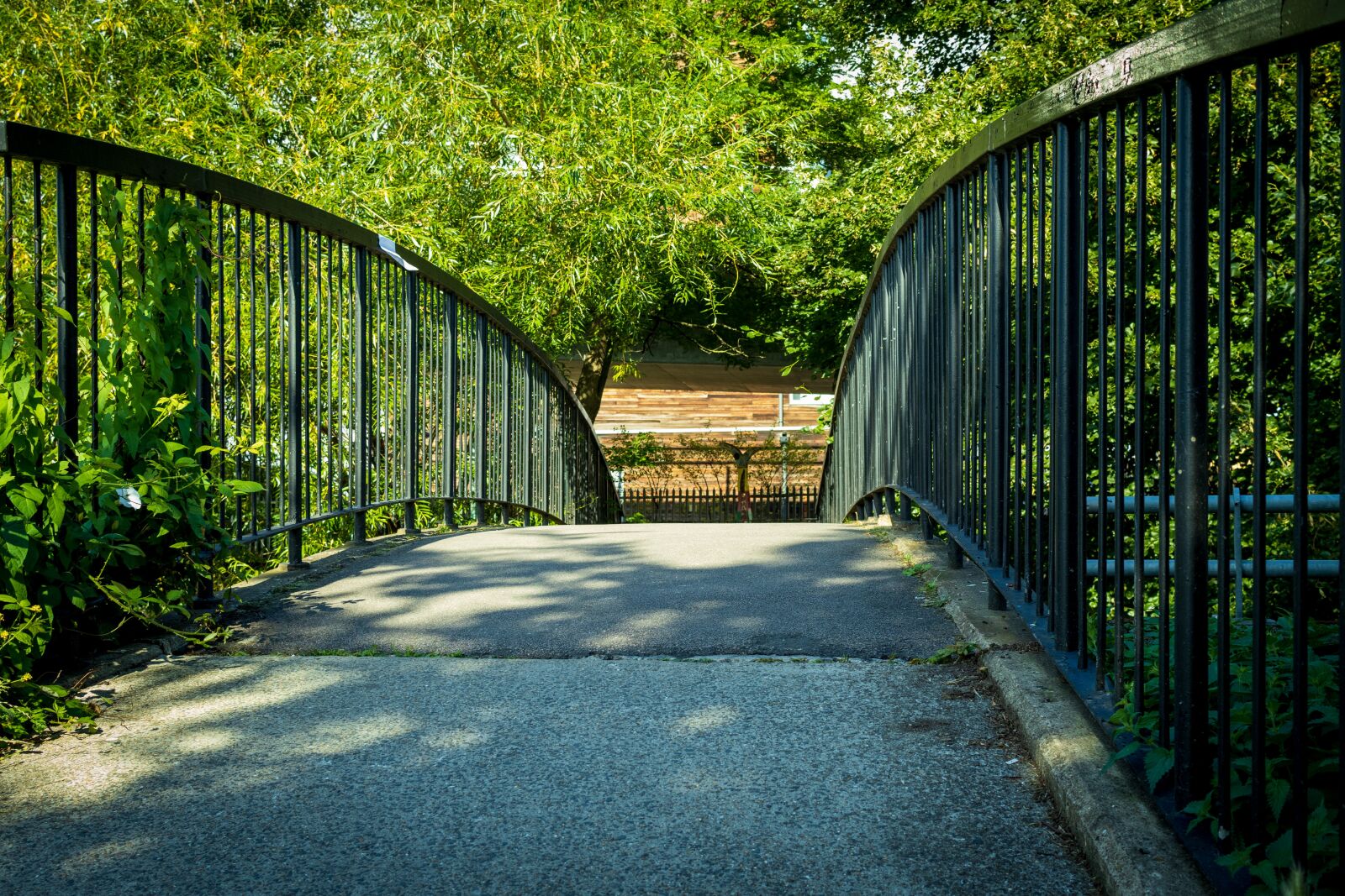 Canon EOS 250D (EOS Rebel SL3 / EOS Kiss X10 / EOS 200D II) sample photo. Path, bridge, pathway photography