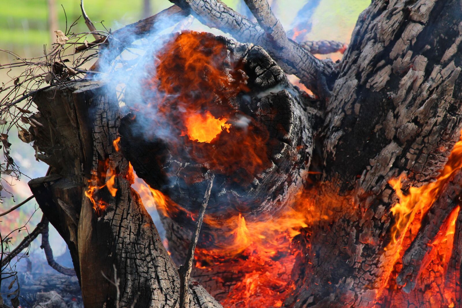 Canon EF-S 55-250mm F4-5.6 IS STM sample photo. Fire, burn, burning photography