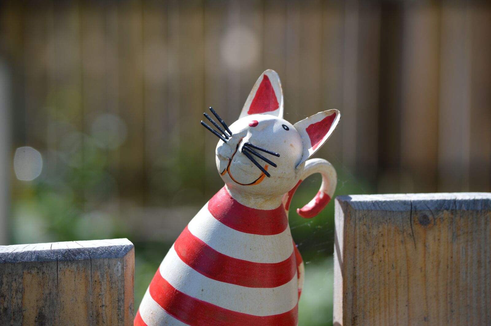 Nikon D3200 sample photo. Garden, decoration, cat photography