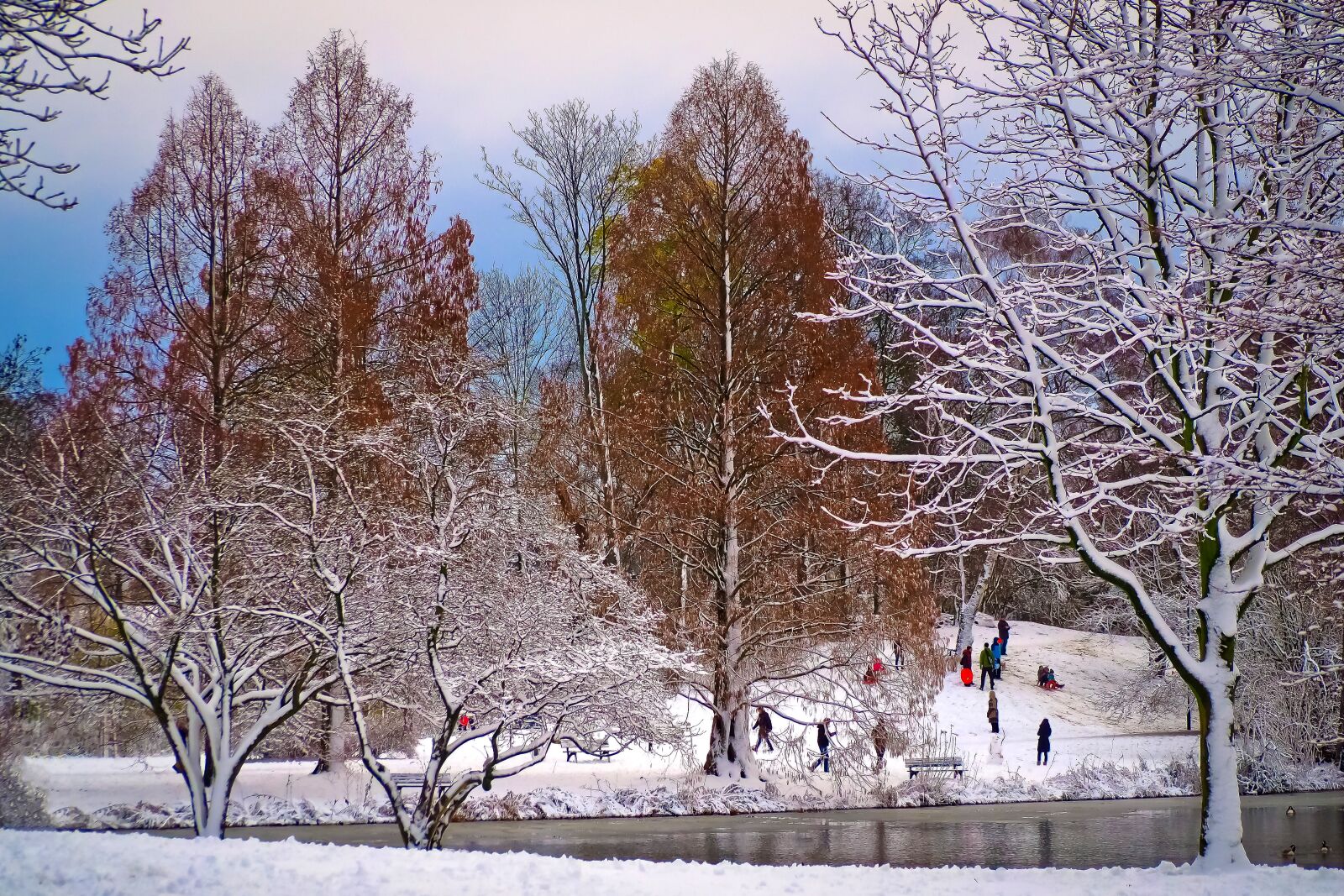 Olympus OM-D E-M10 sample photo. Winter, snow, wintry photography