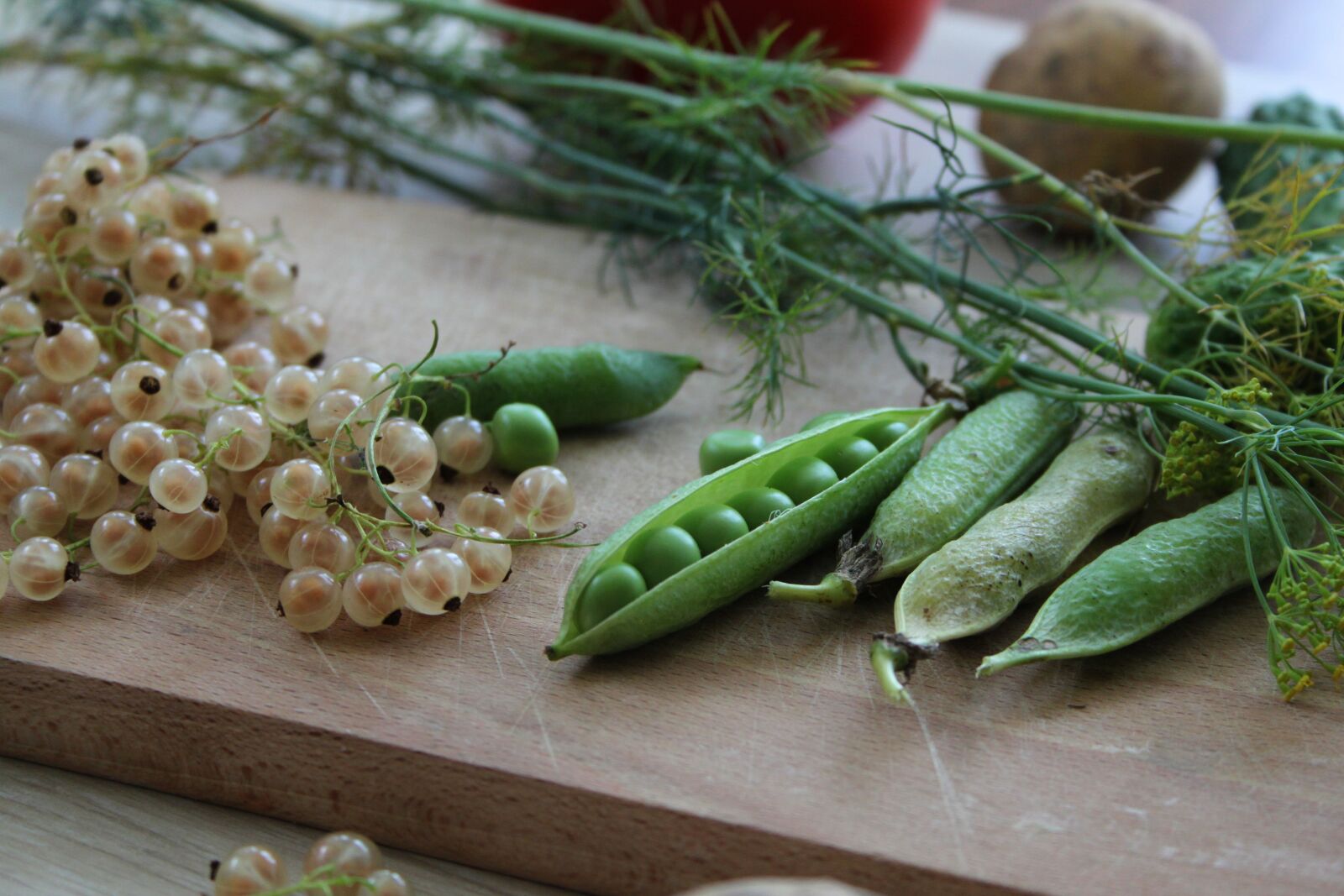 Canon EOS 500D (EOS Rebel T1i / EOS Kiss X3) sample photo. Vegetables, peas, koper photography