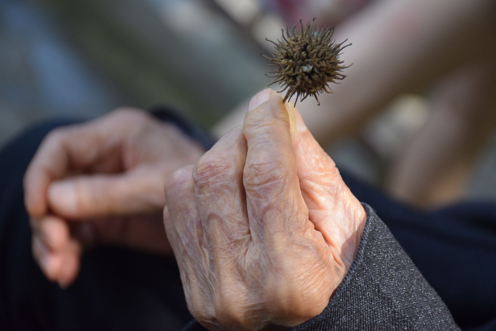Nikon D5300 sample photo. The aged, hand, old photography