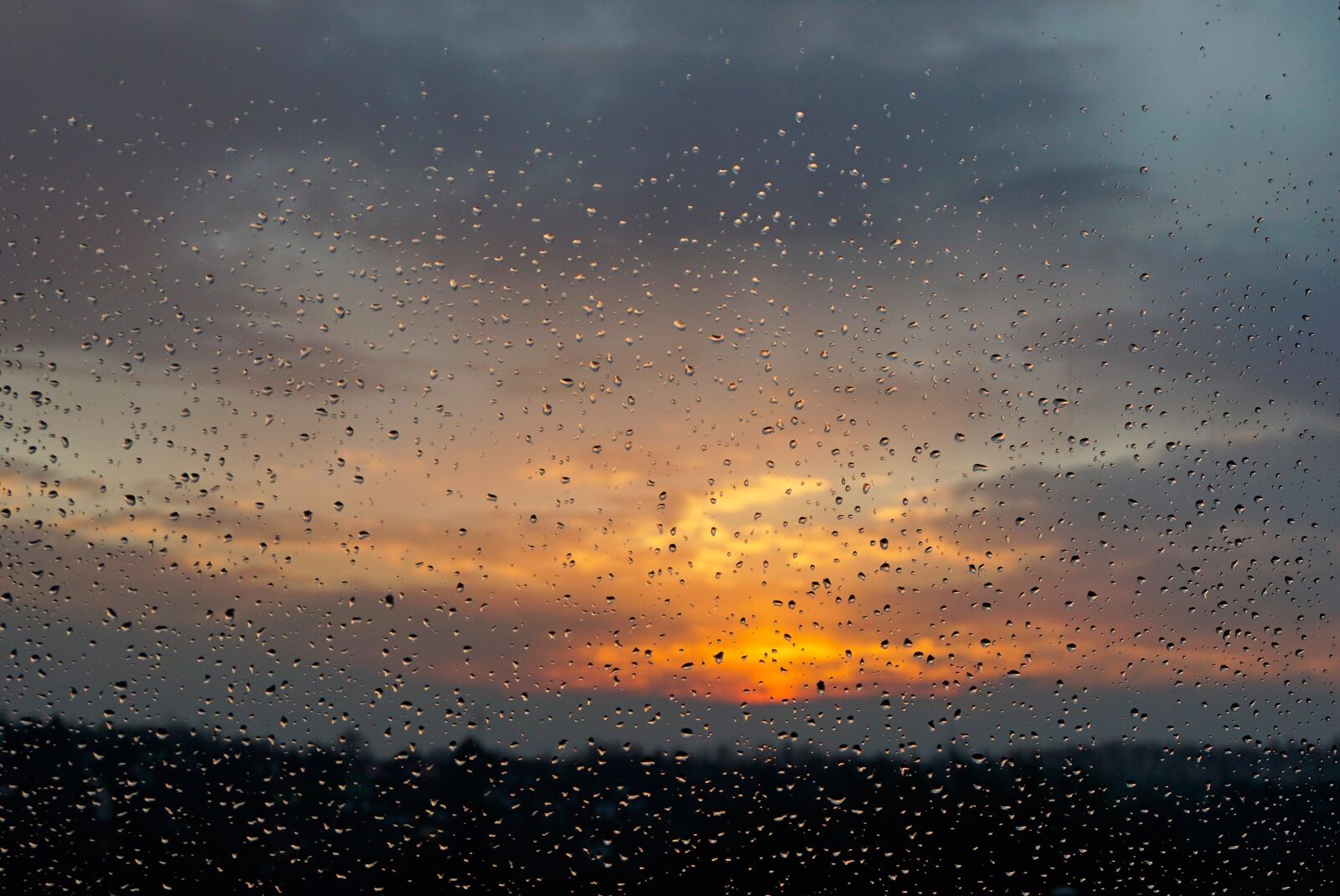 Sony a6000 sample photo. Drops, rain, sunset photography