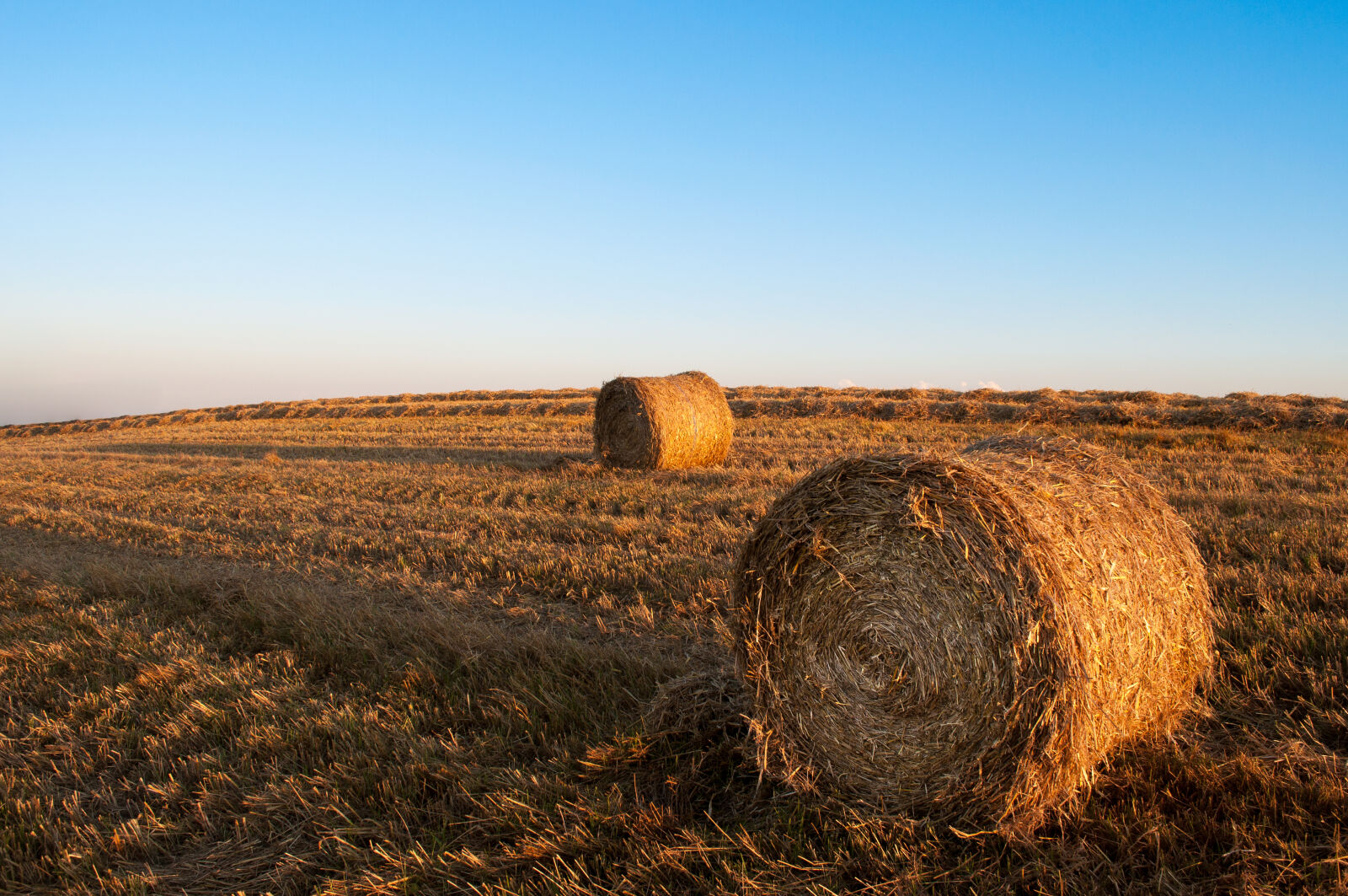 Nikon D5000 sample photo. Sky, field, agriculture, harvest photography