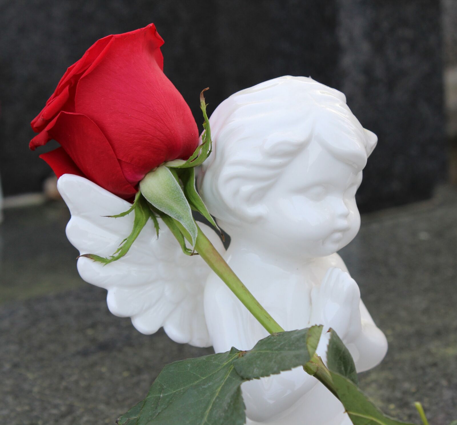 Canon EOS 600D (Rebel EOS T3i / EOS Kiss X5) sample photo. Stop child suicide, angel photography