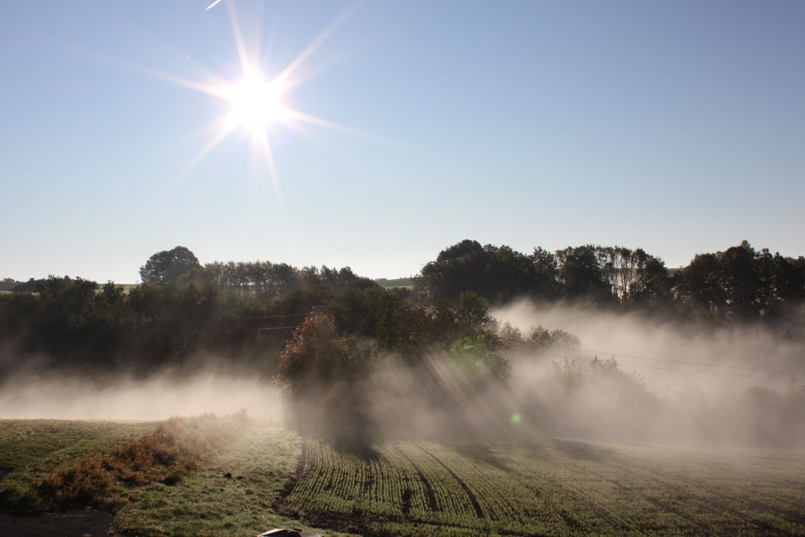 Canon EOS 500D (EOS Rebel T1i / EOS Kiss X3) sample photo. Sun, fog, panorama photography