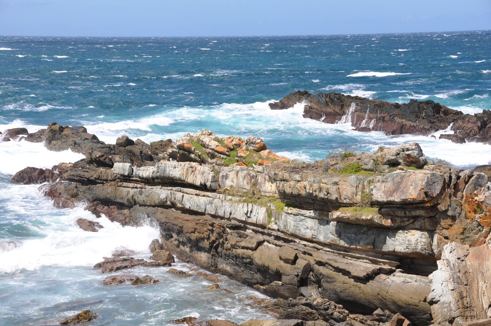 Nikon D90 sample photo. South africa, tsitsikamma, national photography