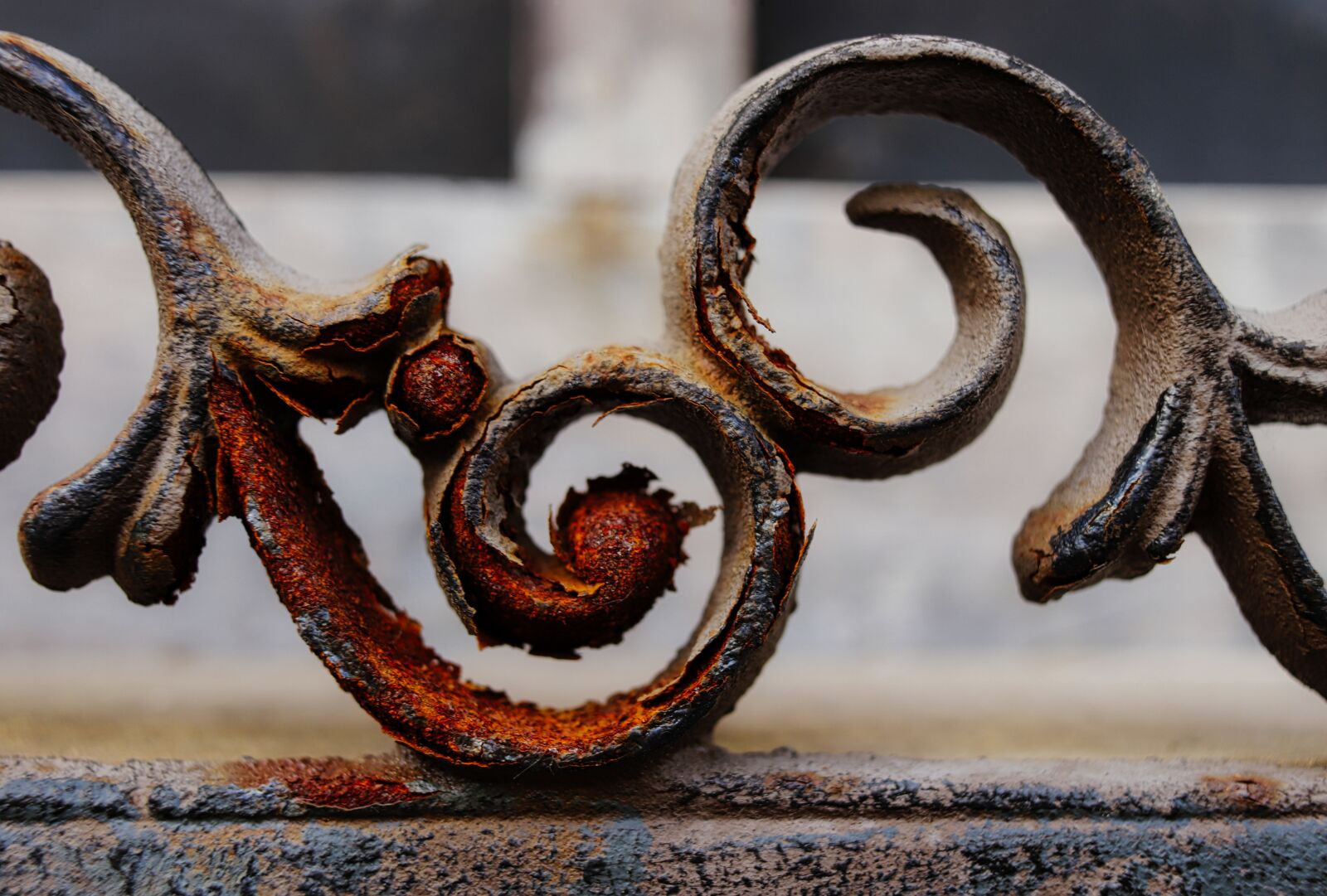 Canon EF-S 24mm F2.8 STM sample photo. Rust, still life, iron photography